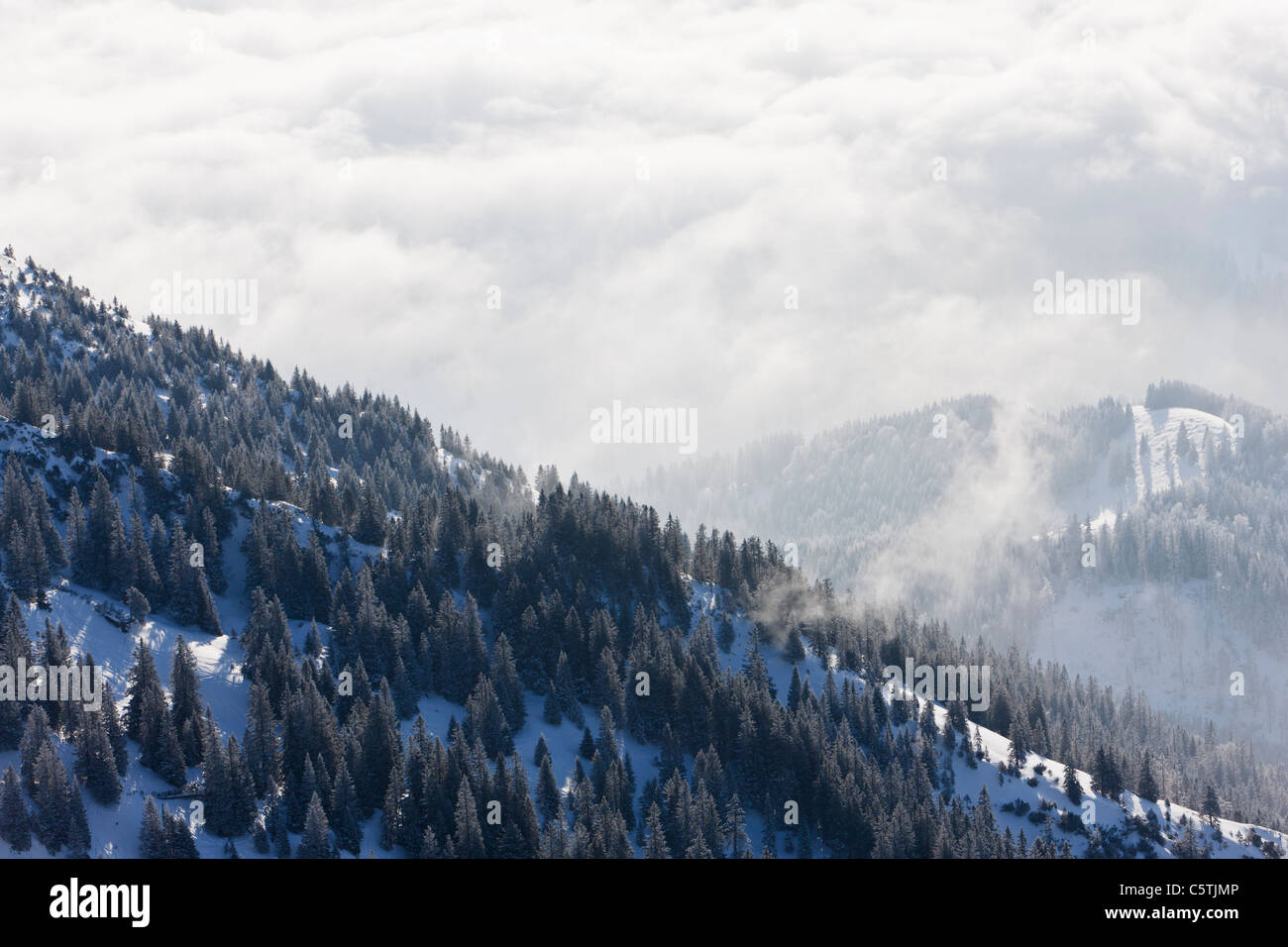 South Germany, Upper Bavaria, Bayrischzell, View of forest from Wendelstein mountain Stock Photo