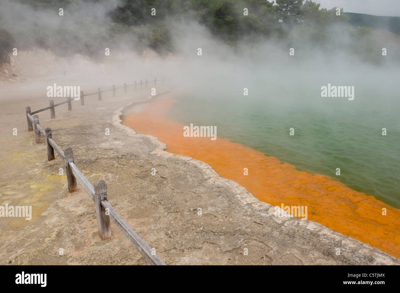 New Zealand, Thermal Wonderland, Champagne Pool, Hot Springs Stock Photo