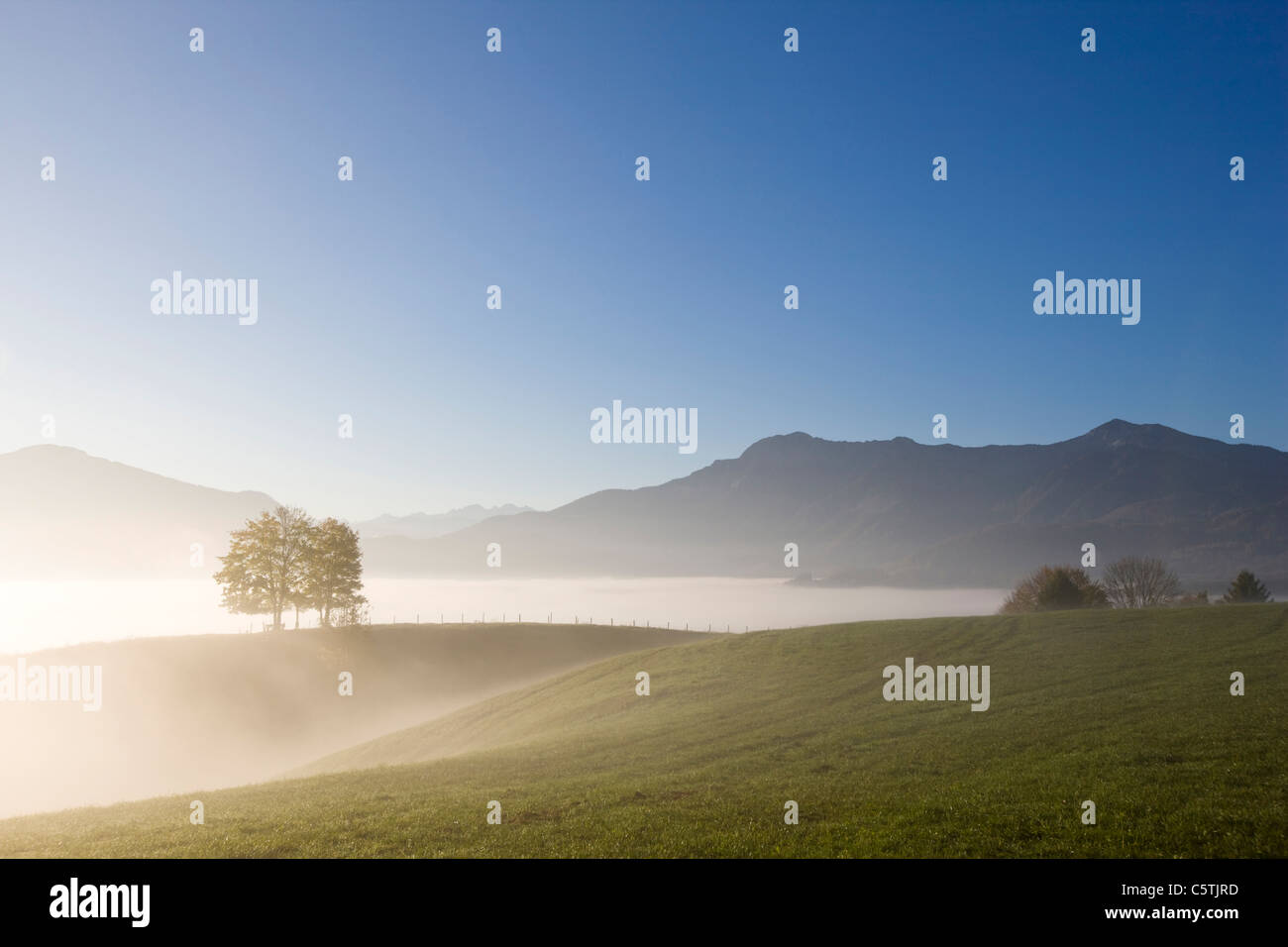 Germany, Bavaria, Pasture land with fog, the Alps in background Stock Photo