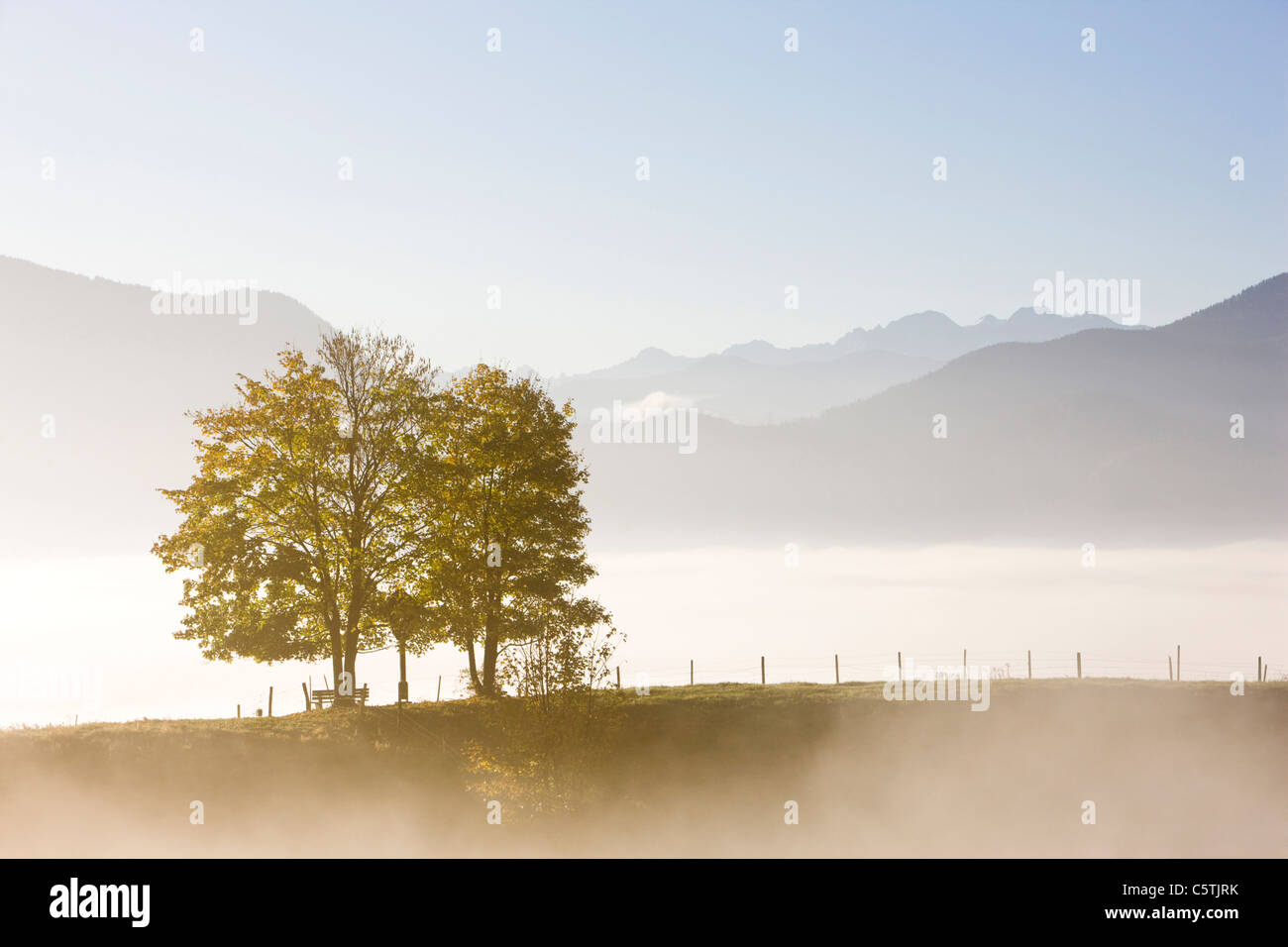 Germany, Bavaria, Fog over landscape, the Alps in background Stock Photo