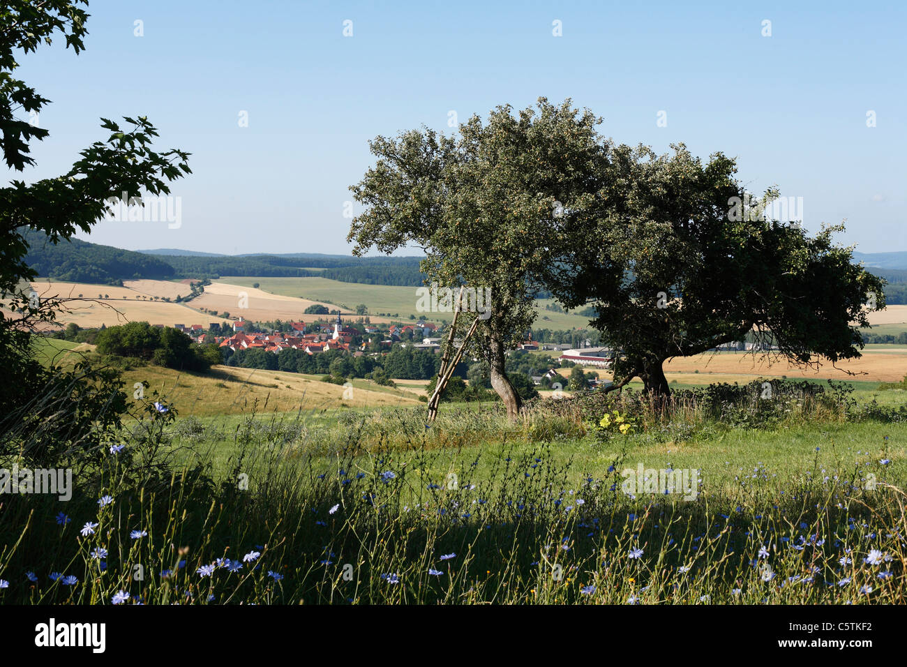 Germany, Thuringia, Rhoen, Rhoenblick, Helmershausen, View of buildings with mountains Stock Photo