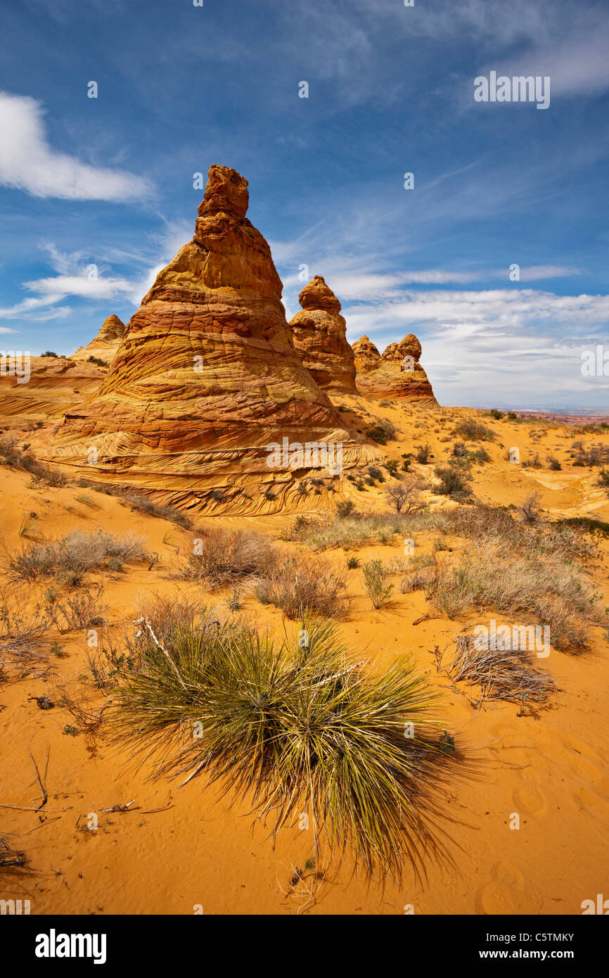 USA, Utah, South Coyote Buttes, Paria Canyon, Cottonwood Teepees, Rock formations Stock Photo