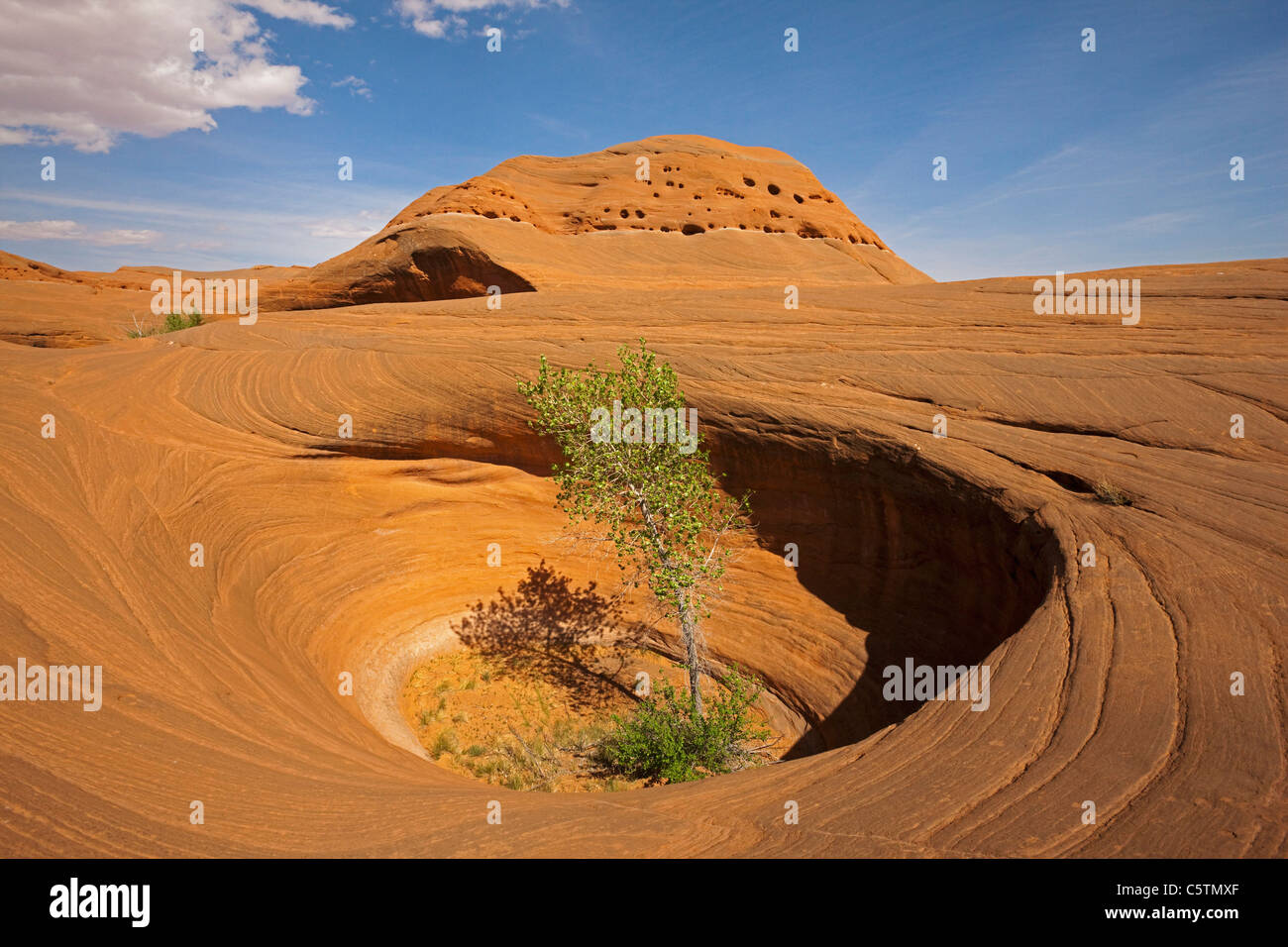 USA, Utah, Grand Staircase Escalante National Monument, Dance Hall Rock, Rocky landscape Stock Photo