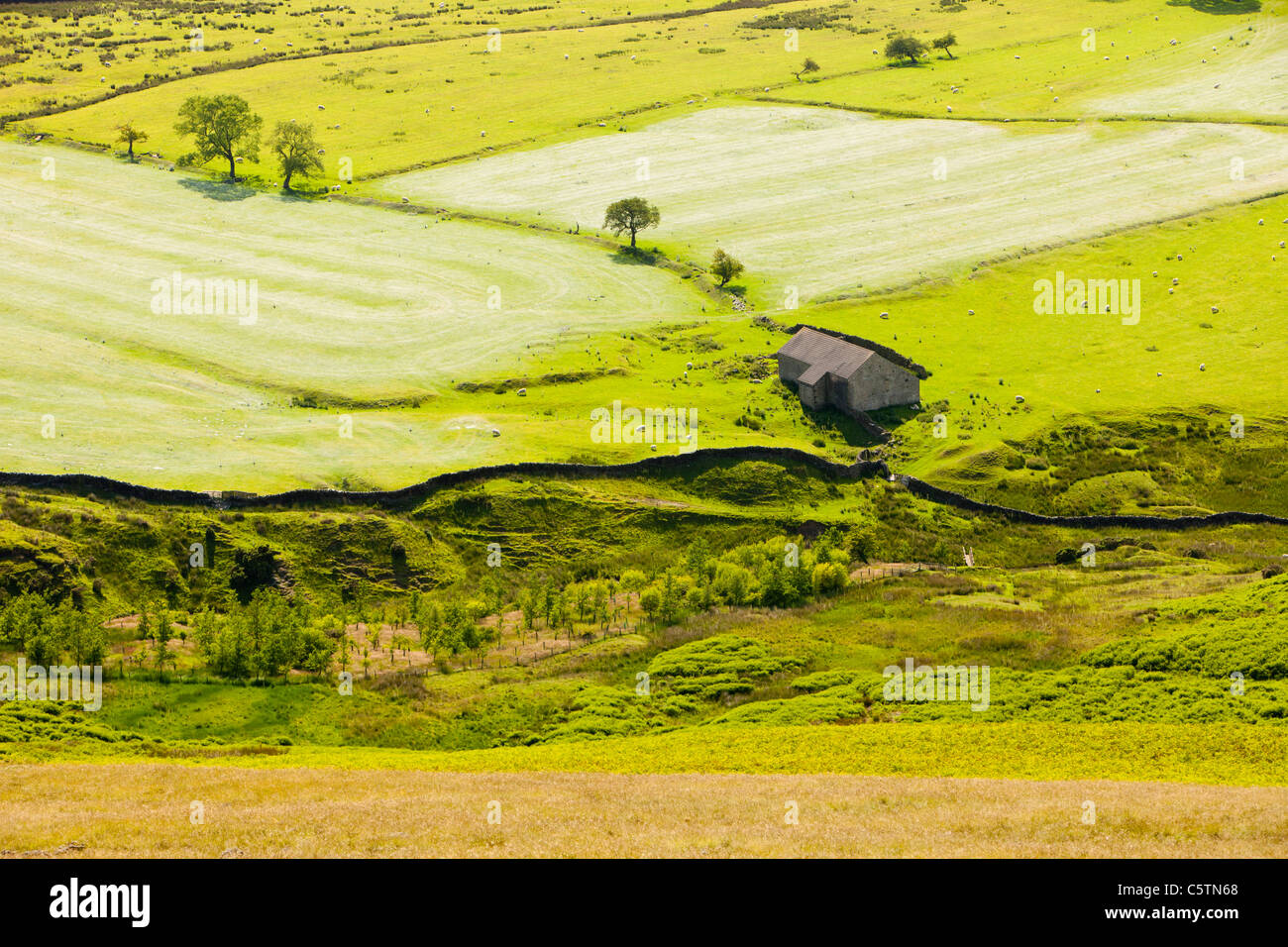 An unimproved moorland field on the slopes of Pendle Hill that has had lime applied to it to alter the acidic soil Ph Stock Photo