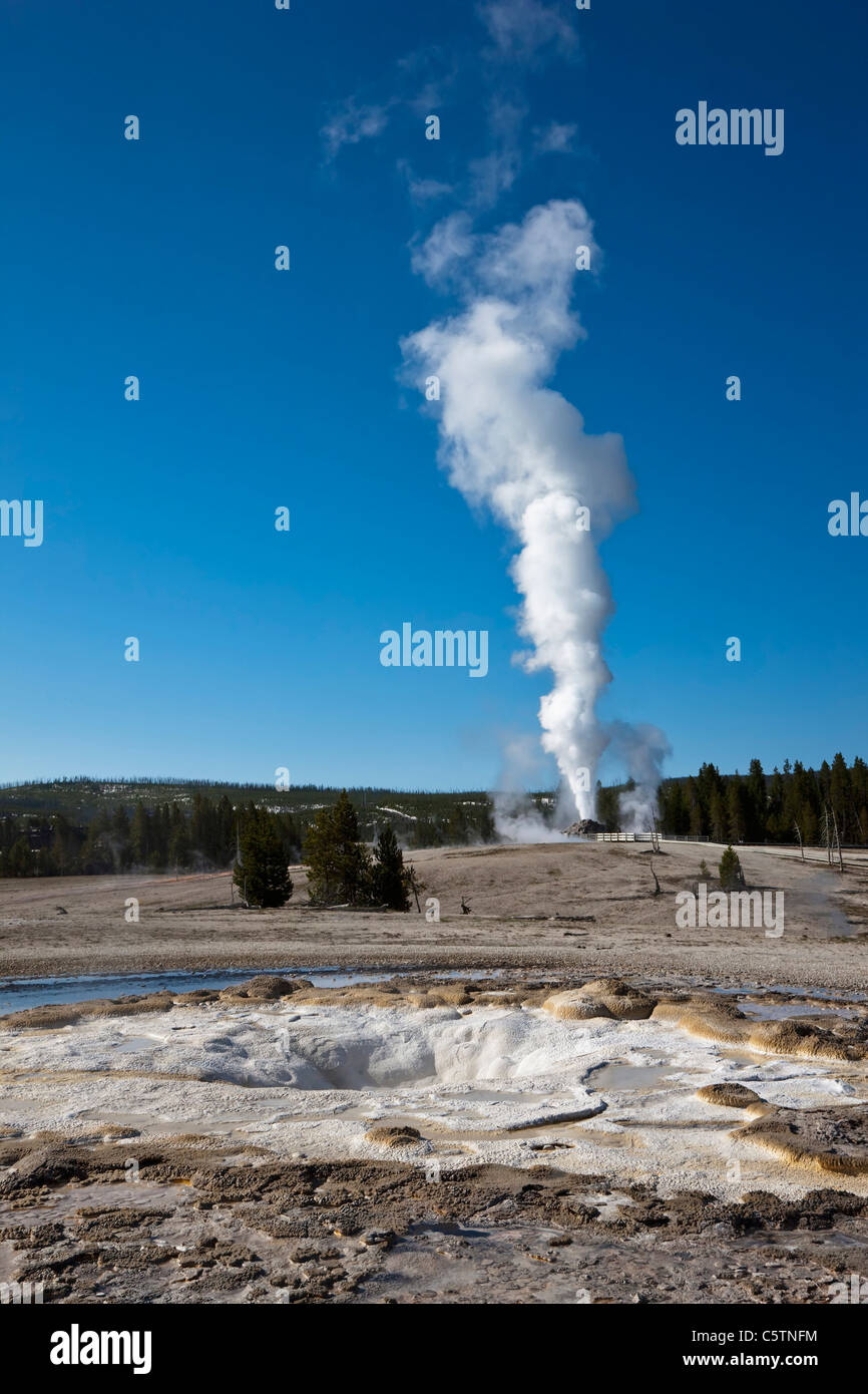 USA, Yellowstone Park, Wyoming, Castle Geyser Stock Photo Alamy