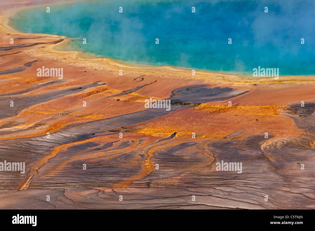 USA, Wyoming, Yellowstone National Park, Grand Prismatic Spring Stock ...