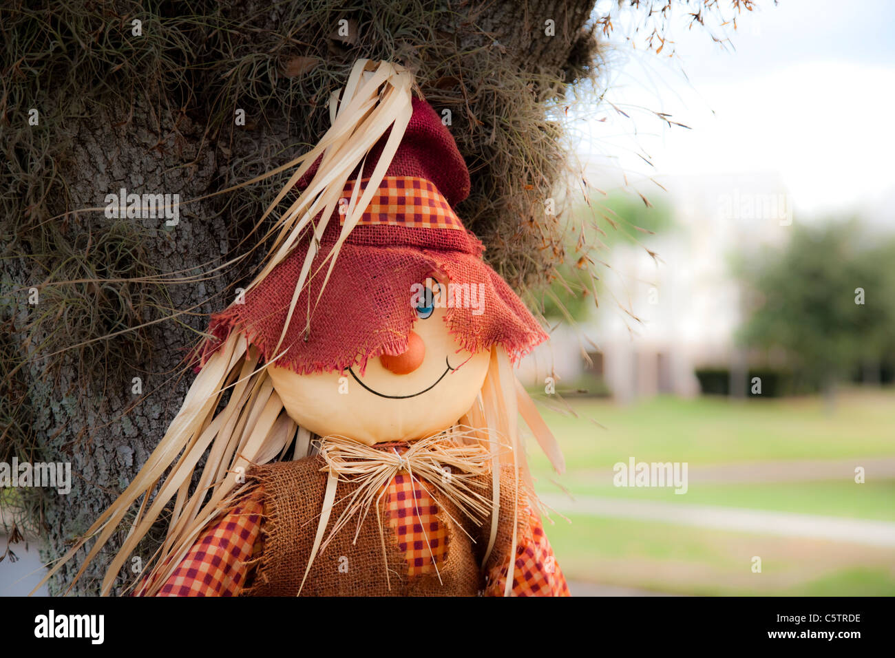 Straw Figure Stock Photos & Straw Figure Stock Images - Alamy