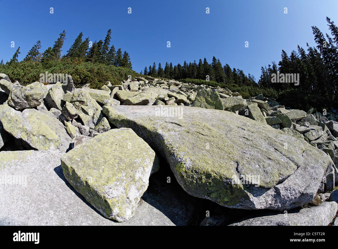 Germany, Lower Bavaria, View of bavarian forest Stock Photo