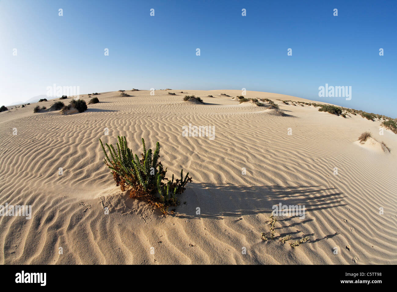 Spain, Canary Islands, Fuerteventura, dunes of corralejo Stock Photo