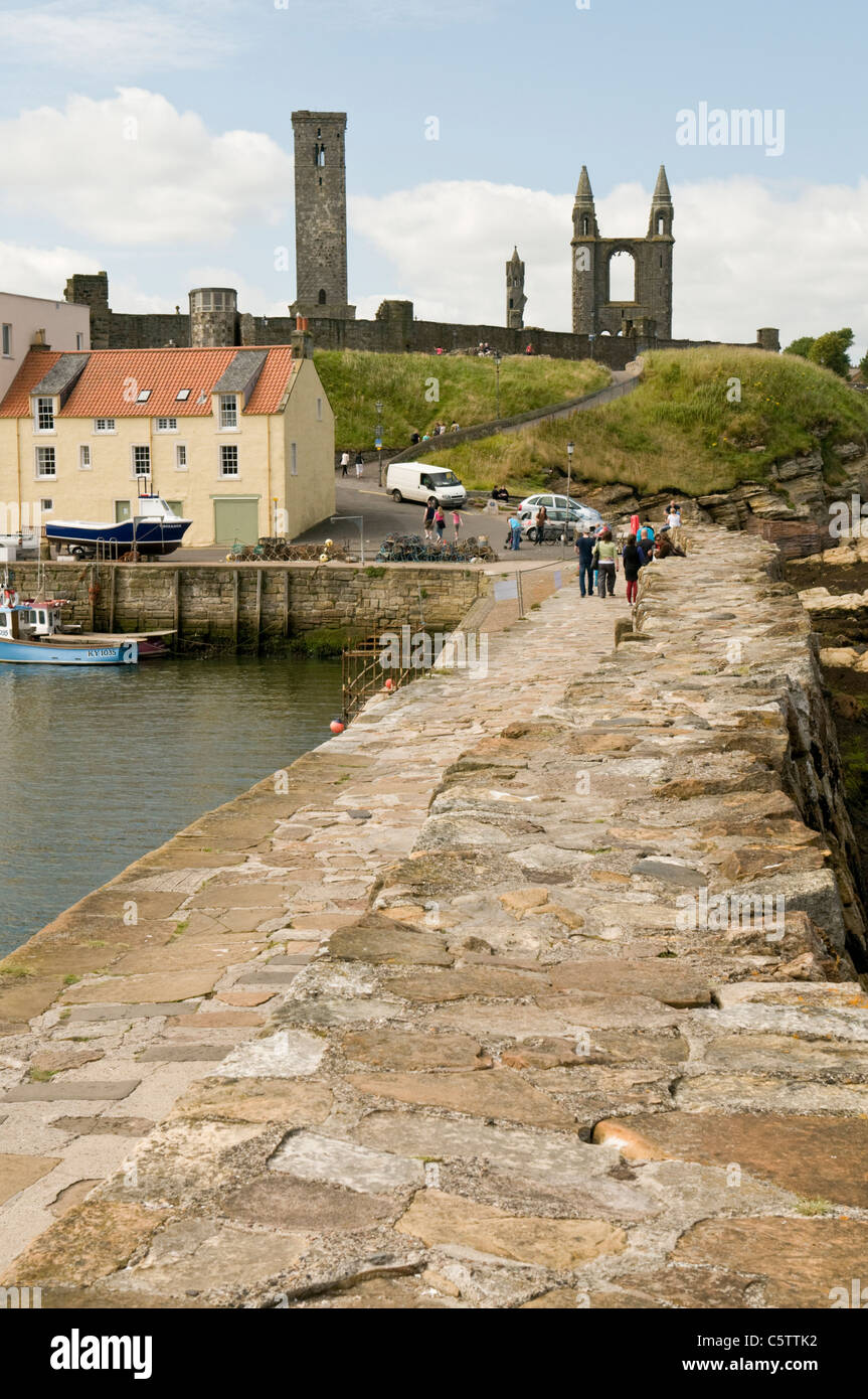 View of St. Andrews Cathedral, from the Harbour. Stock Photo