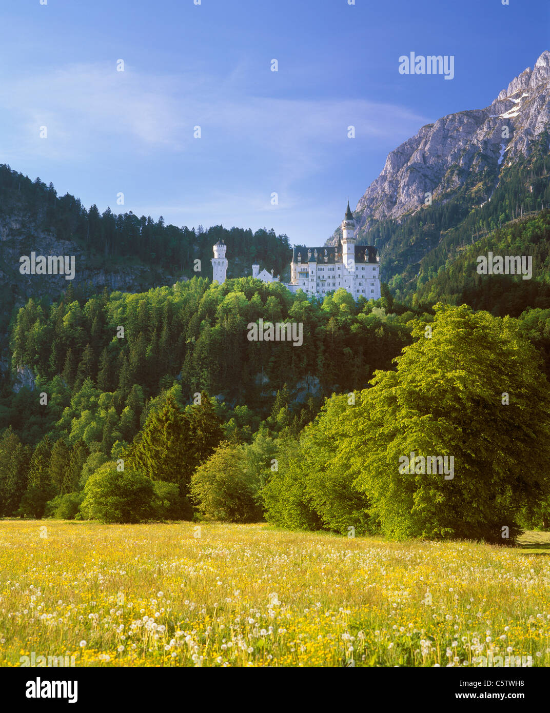 Germany, Bavaria, Swabia, Allgaeu, View of neuschwanstein castle Stock Photo