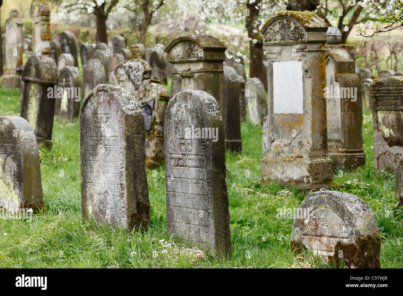 Germany, Bavaria, Franconia, Franconian Switzerland, Pretzfeld, Hagenbach, View of jewish cemetery Stock Photo