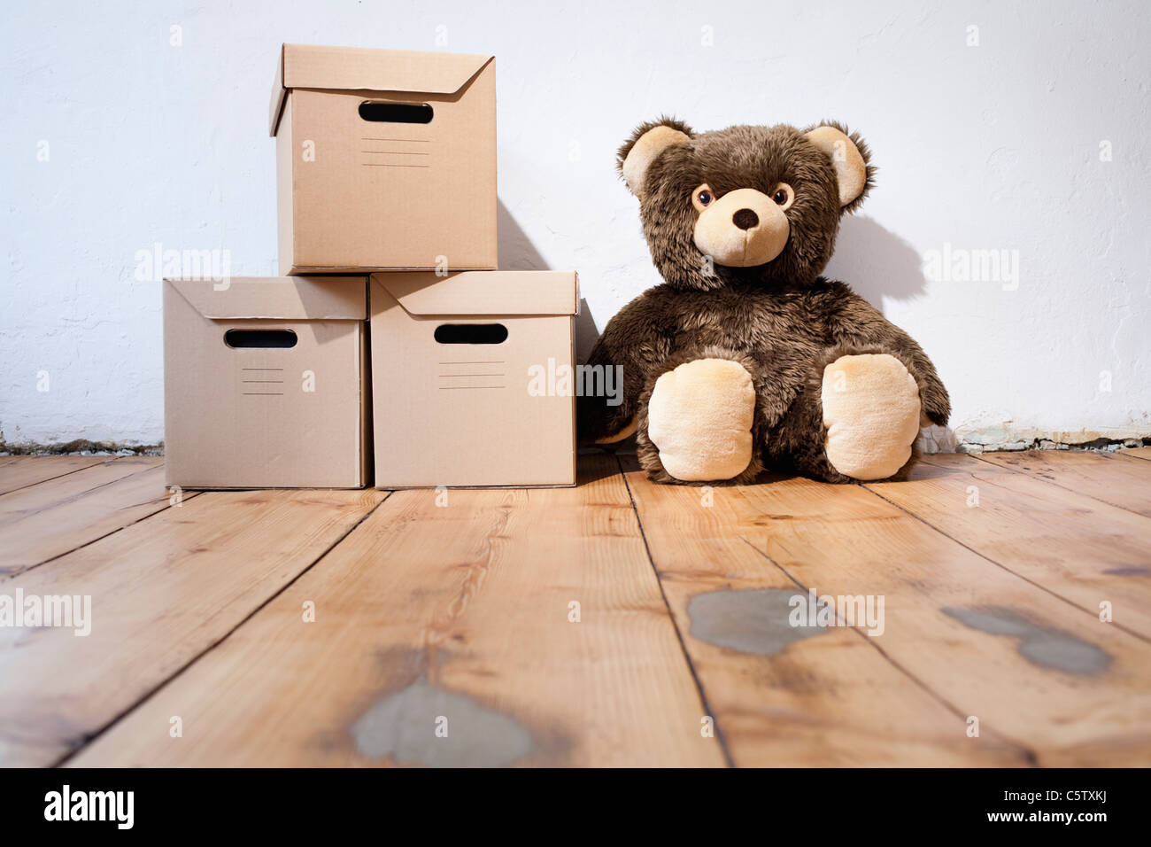 коробка с плюшевым мишкой. коробочка in on under. Bear on the box. The teddy bear is the box. The teddy bear is the box.