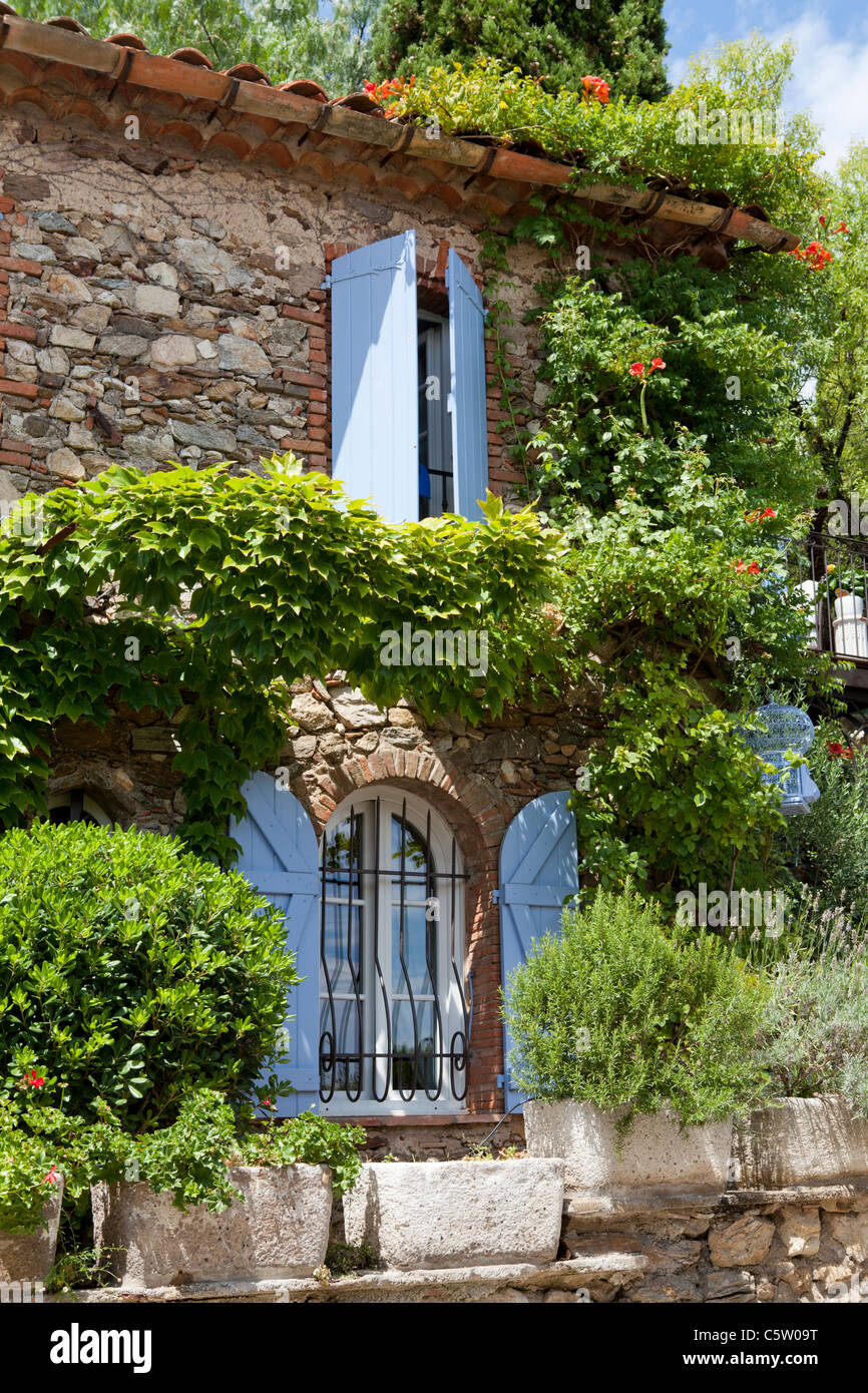 Blue shutters in stony wall house covered with plants. Grimaud, Var