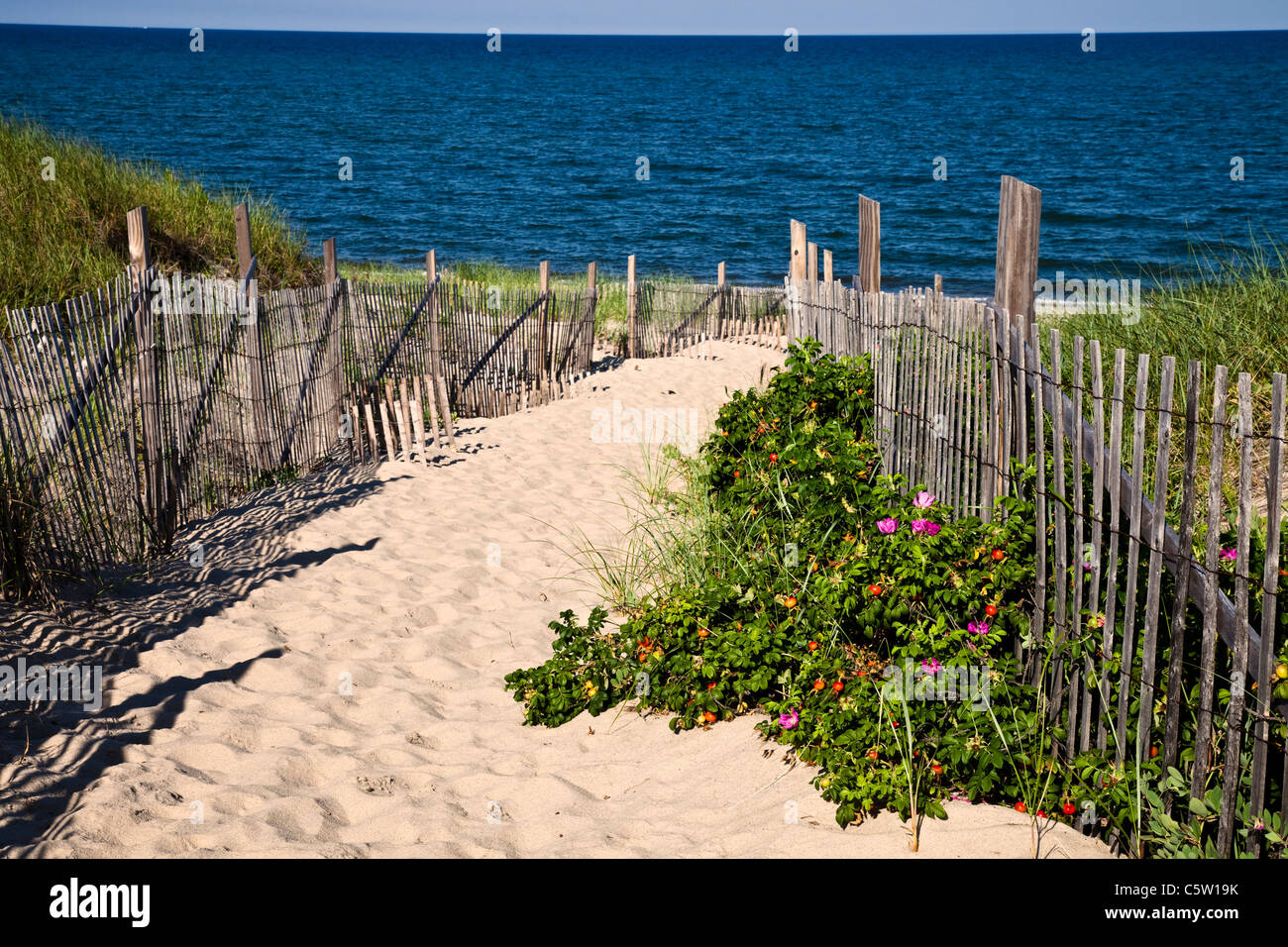 Cape cod dunes beach hires stock photography and images Alamy