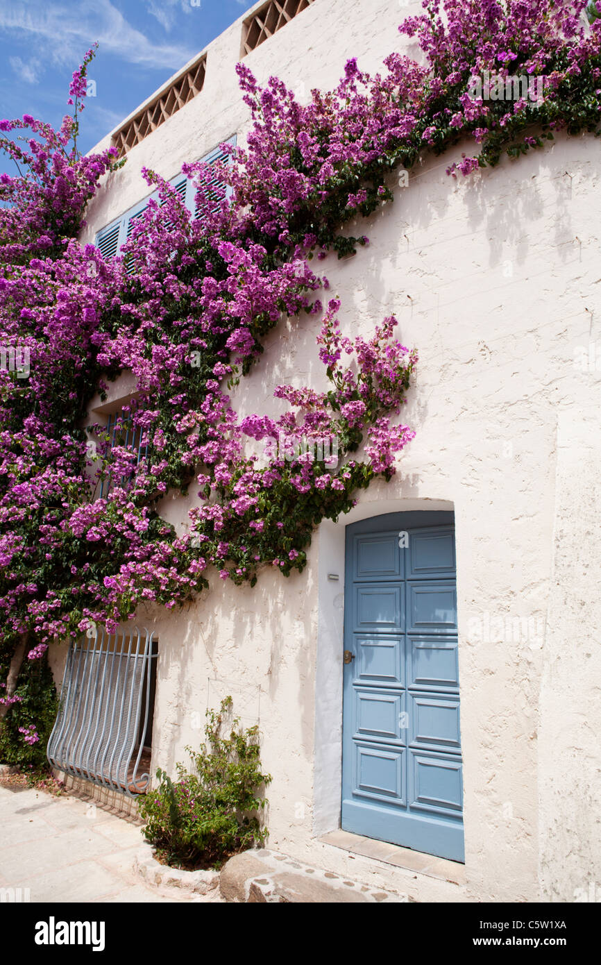 A white house with bougainvillea hi-res stock photography and images