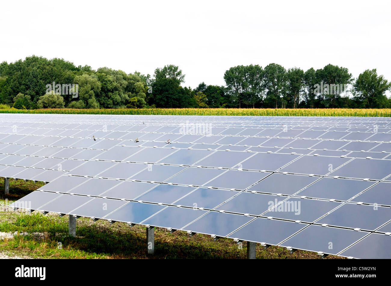 Solar Panels producing clean "green" energy Stock Photo - Alamy