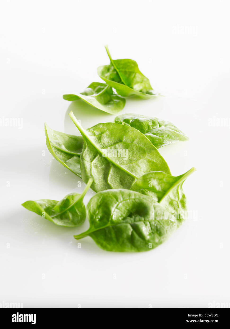 Raw Leaf spinach on white background Stock Photo - Alamy