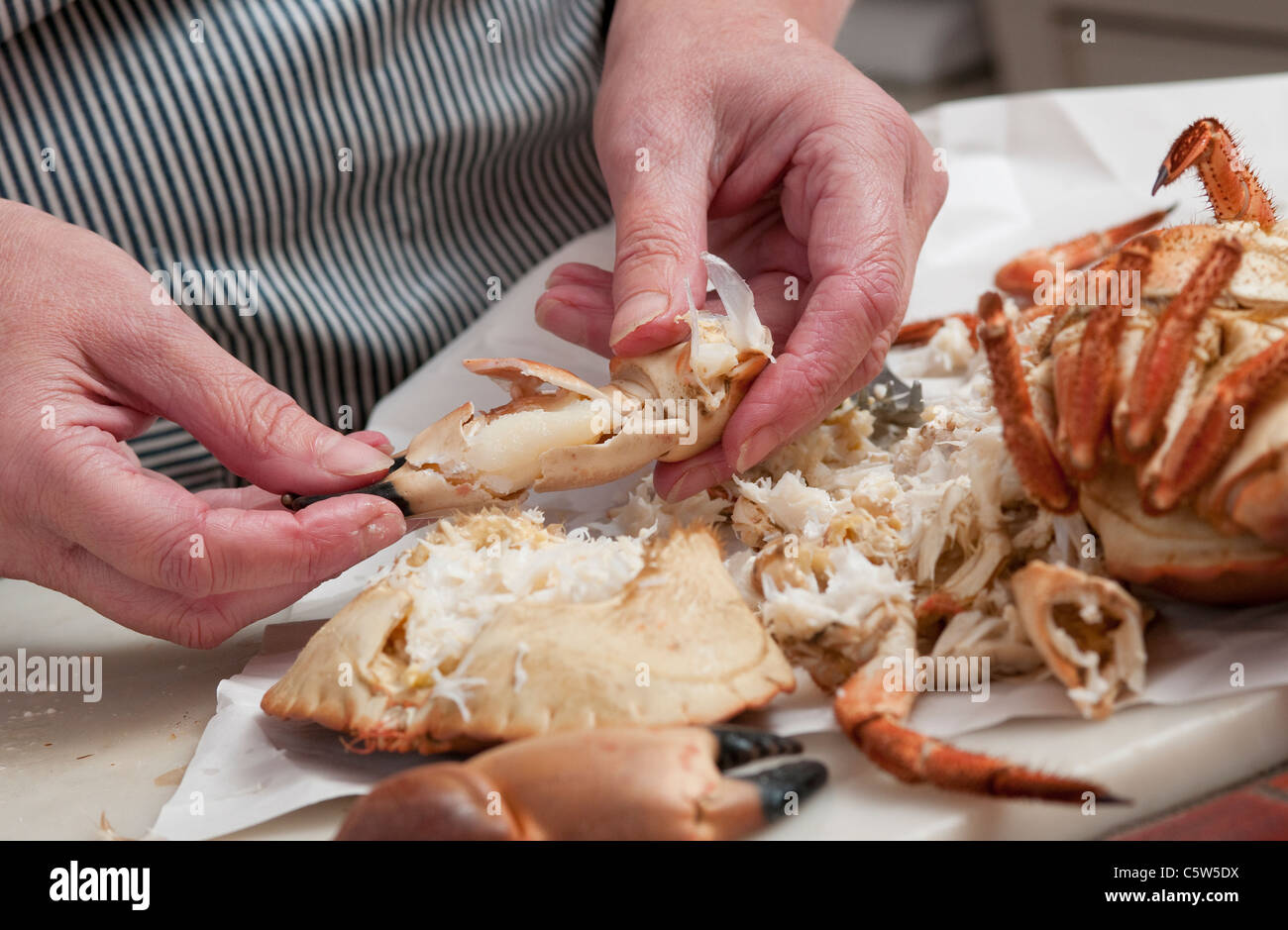 Dressed crab in shell hi-res stock photography and images - Alamy