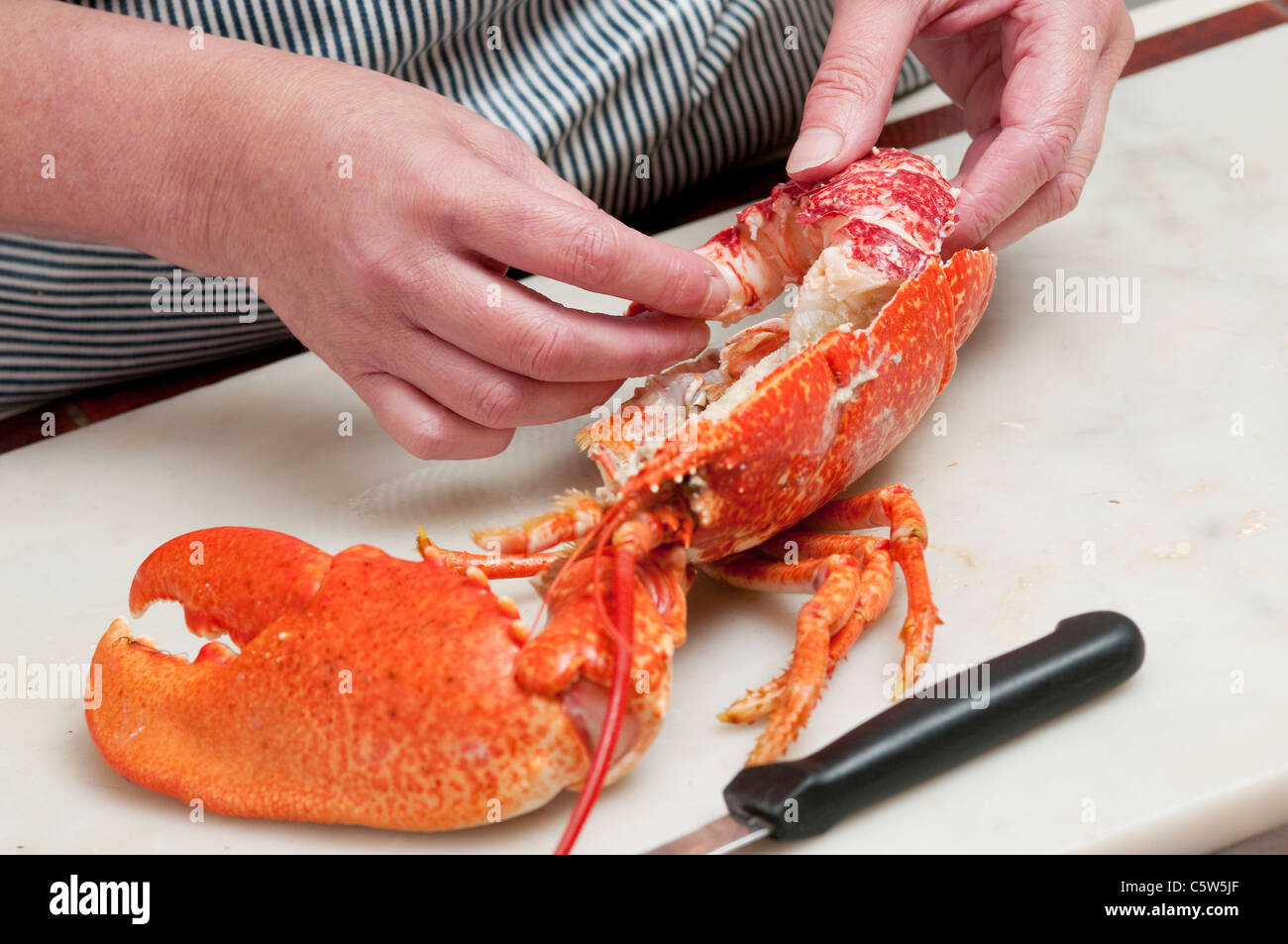 Dressed Lobster High Resolution Stock Photography and Images Alamy