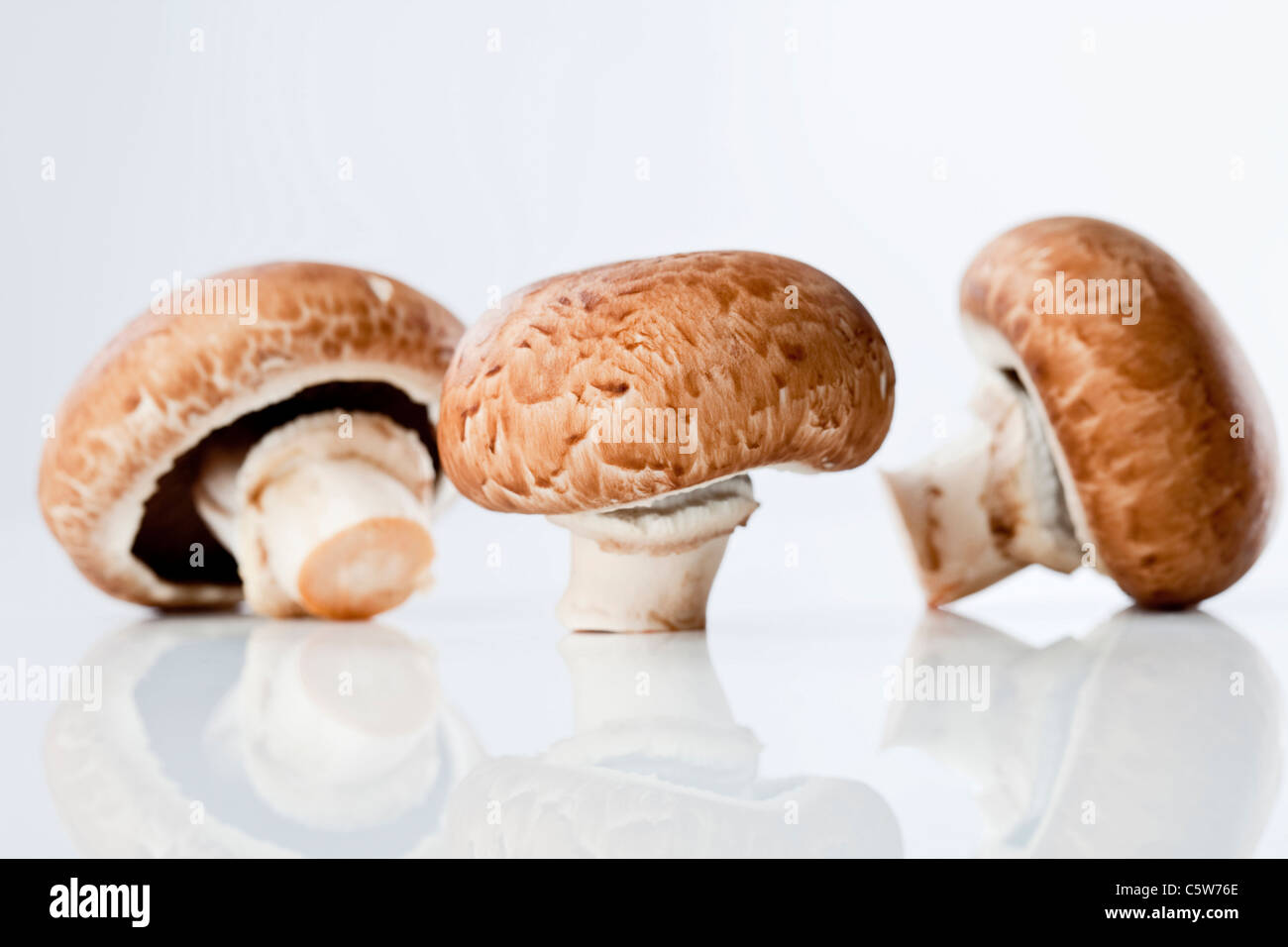 Three button mushrooms Stock Photo
