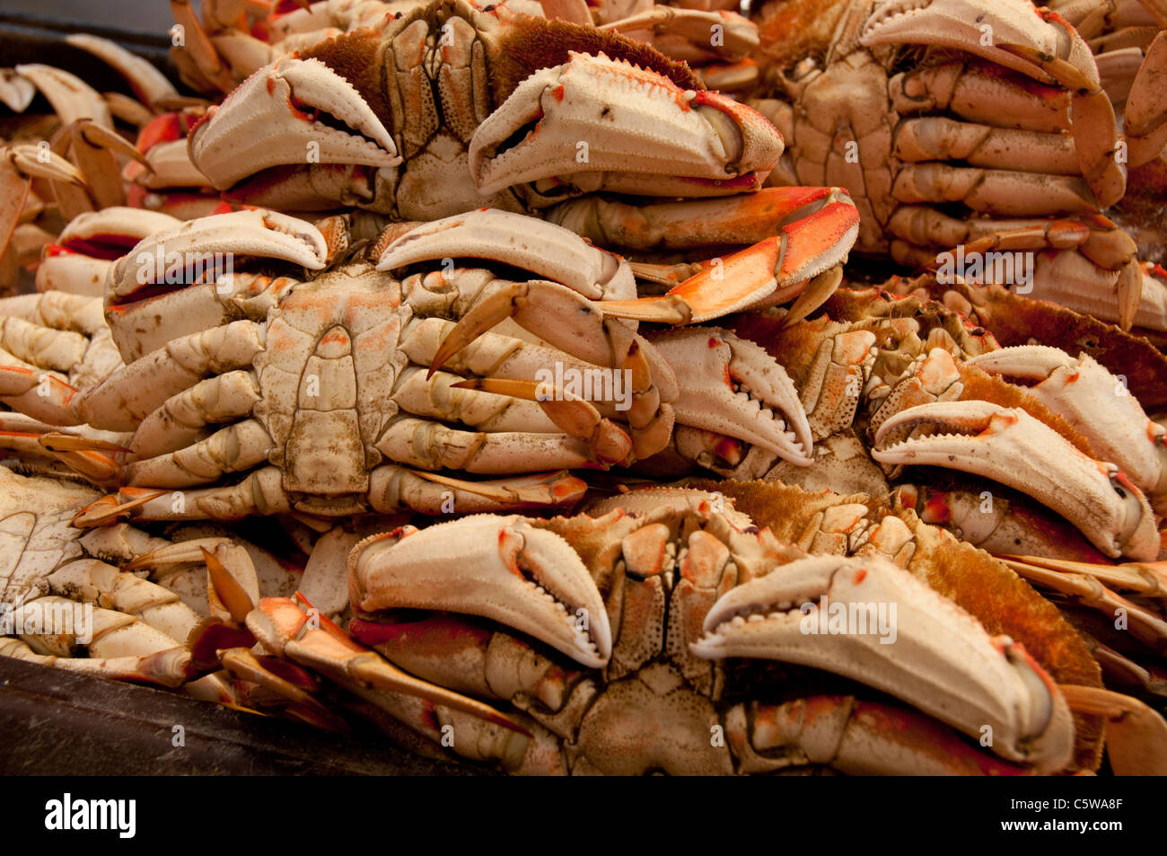 Fishermans wharf san francisco crab hi-res stock photography and images