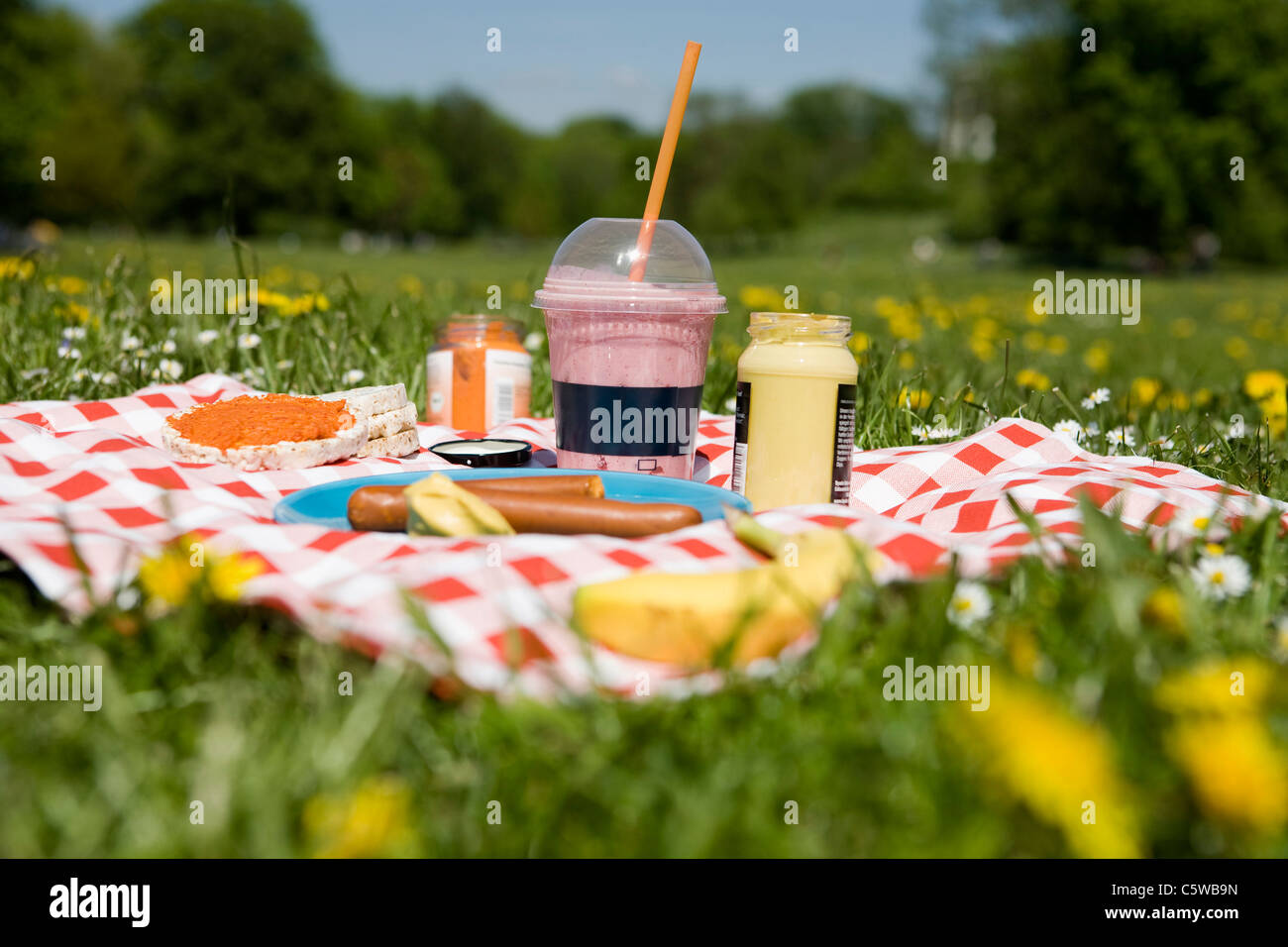 Picnic on meadow Stock Photo
