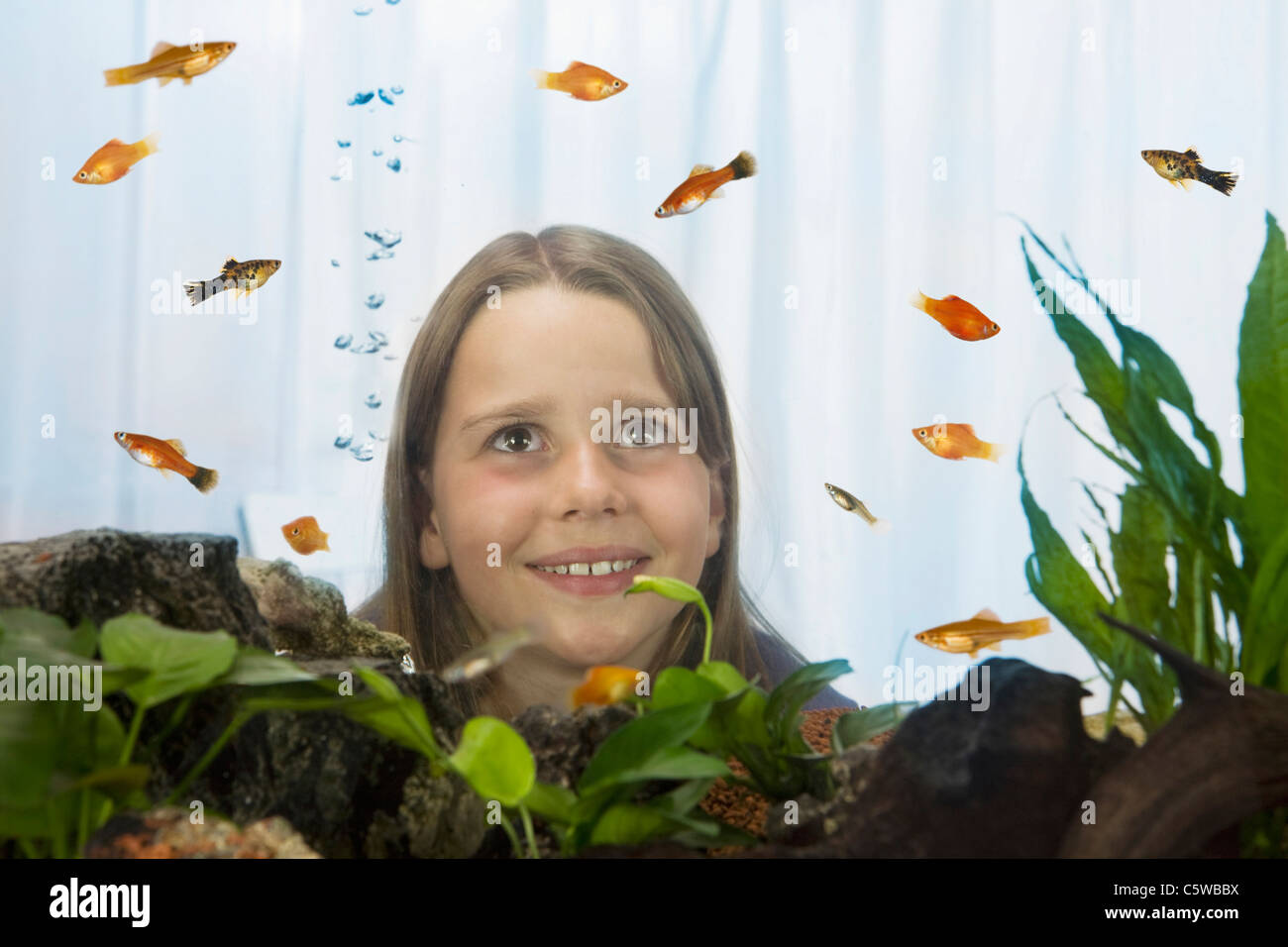 Girl (8-9) watching fish, view through fish tank Stock Photo