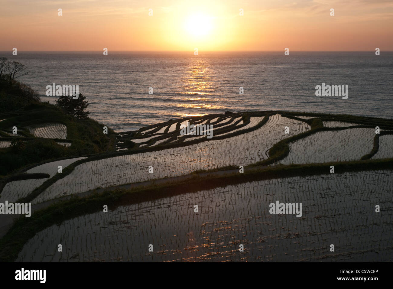 Evening View of Rice Paddies at Noto Peninsula, Wajima, Ishikawa, Japan Stock Photo