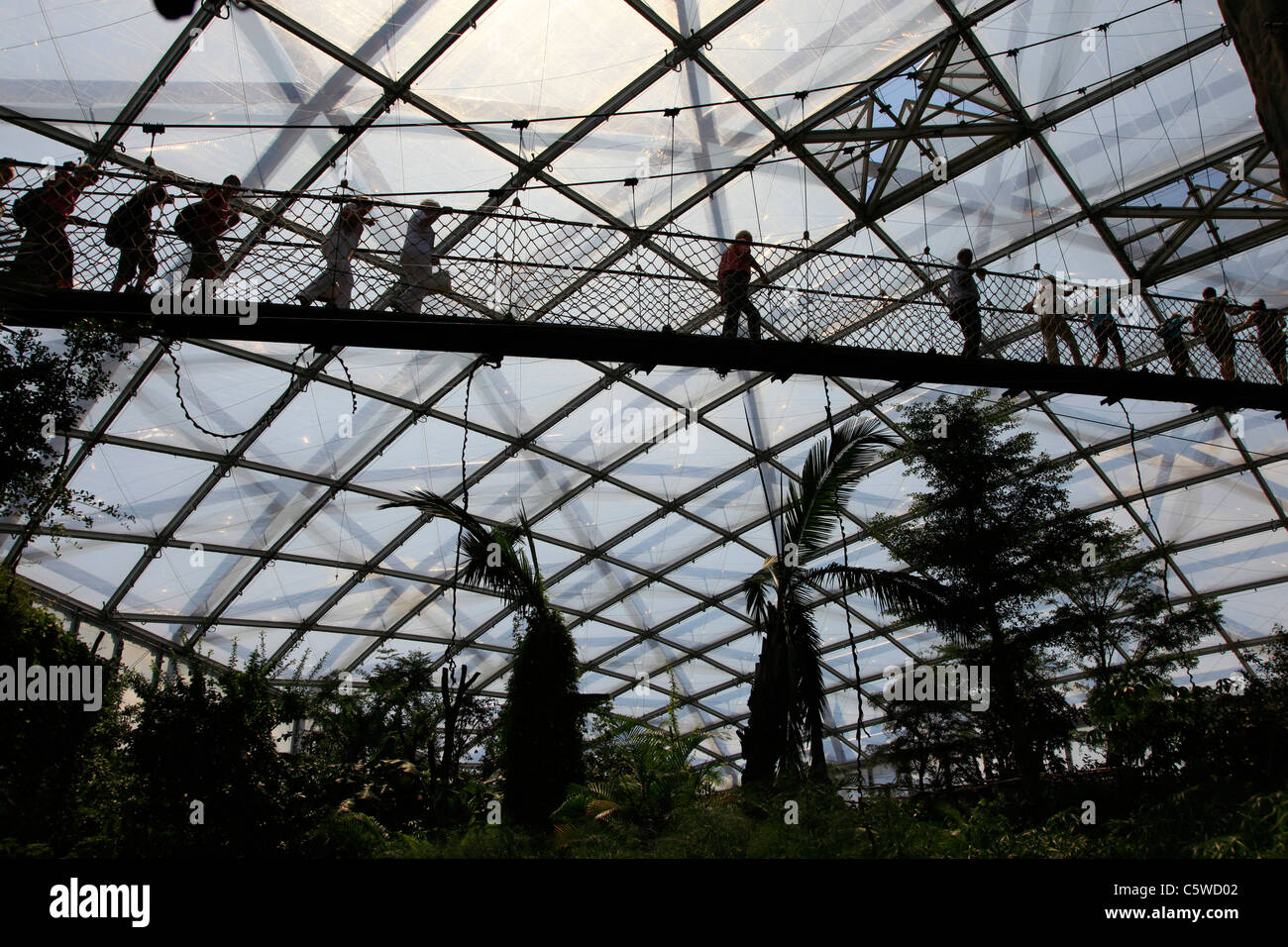 Interior of the Gondwanaland Huge tropical Rainforest's hall at the Leipzig Zoological Garden or the Leipzig Zoo Eastern Germany Stock Photo