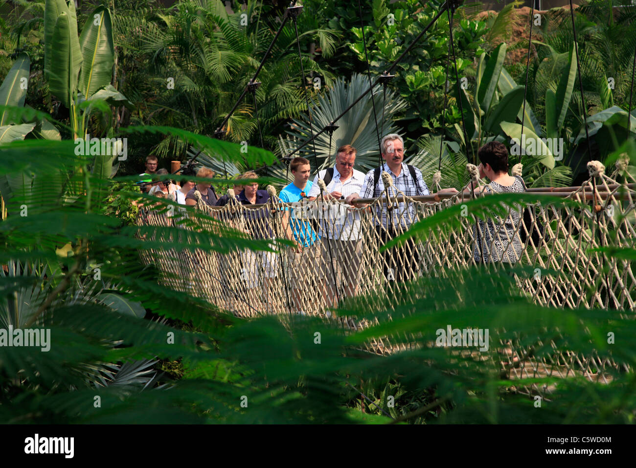 Visitors walk on a wooden rope bridge inside the Gondwanaland Huge tropical Rainforest's hall at the Leipzig Zoological Garden or the Leipzig Zoo Eastern Germany Stock Photo