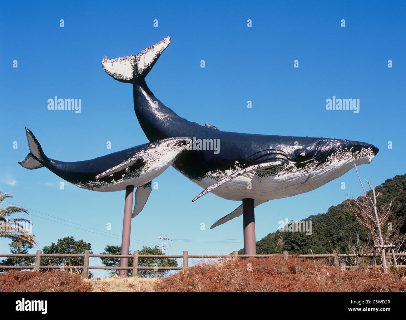 Monument of Whale, Taiji, Higashimuro, Wakayama, Japan Stock Photo