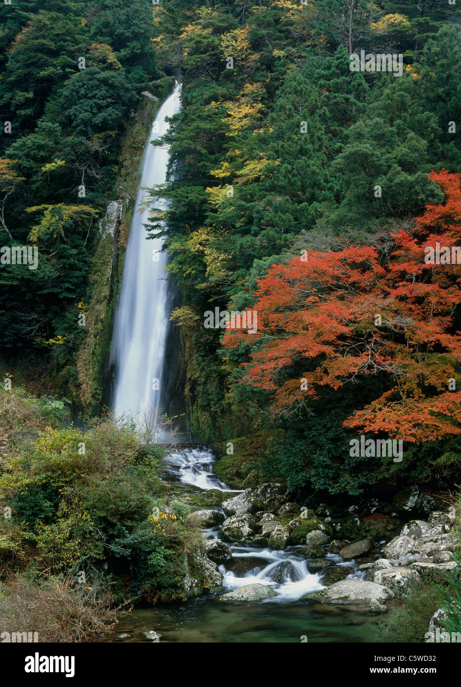 Horyu Waterfall, Shingu, Wakayama, Japan Stock Photo