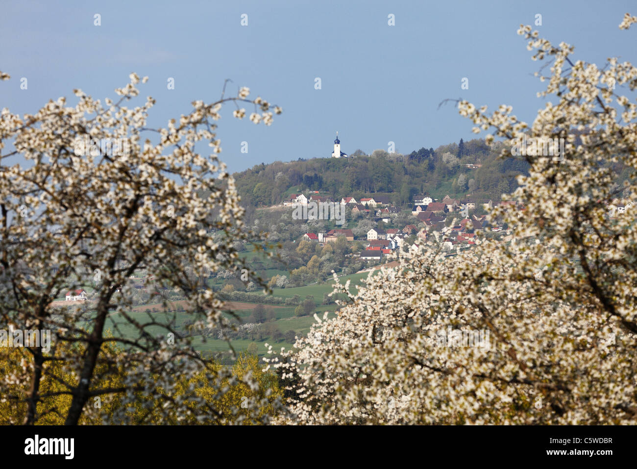 Germany, Bavaria, Franconia, Franconian Switzerland, Reifenberg, Chapel on top of town with cherry blossoms in foreground Stock Photo