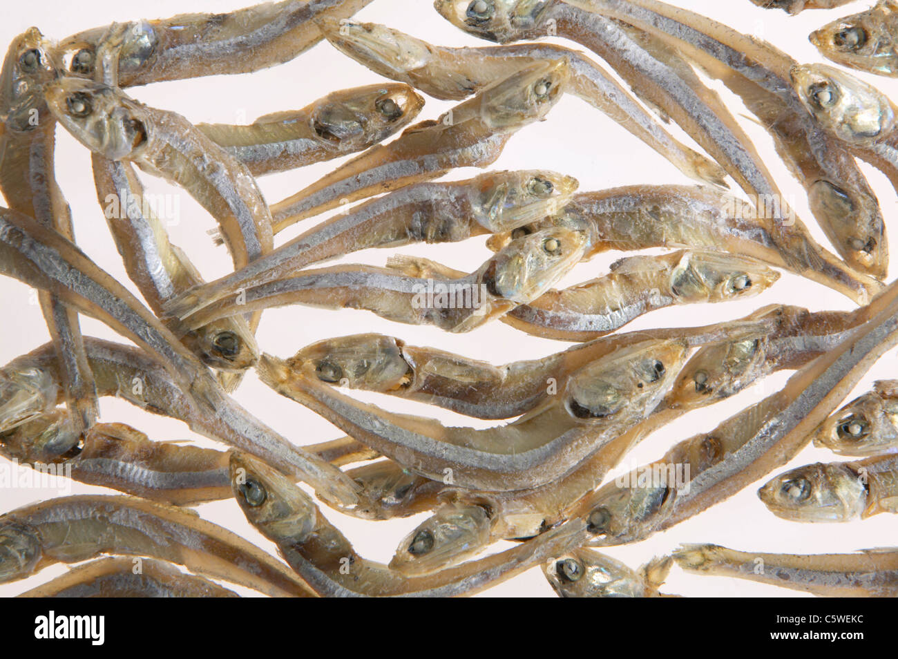 Dried anchovies, closeup Stock Photo Alamy