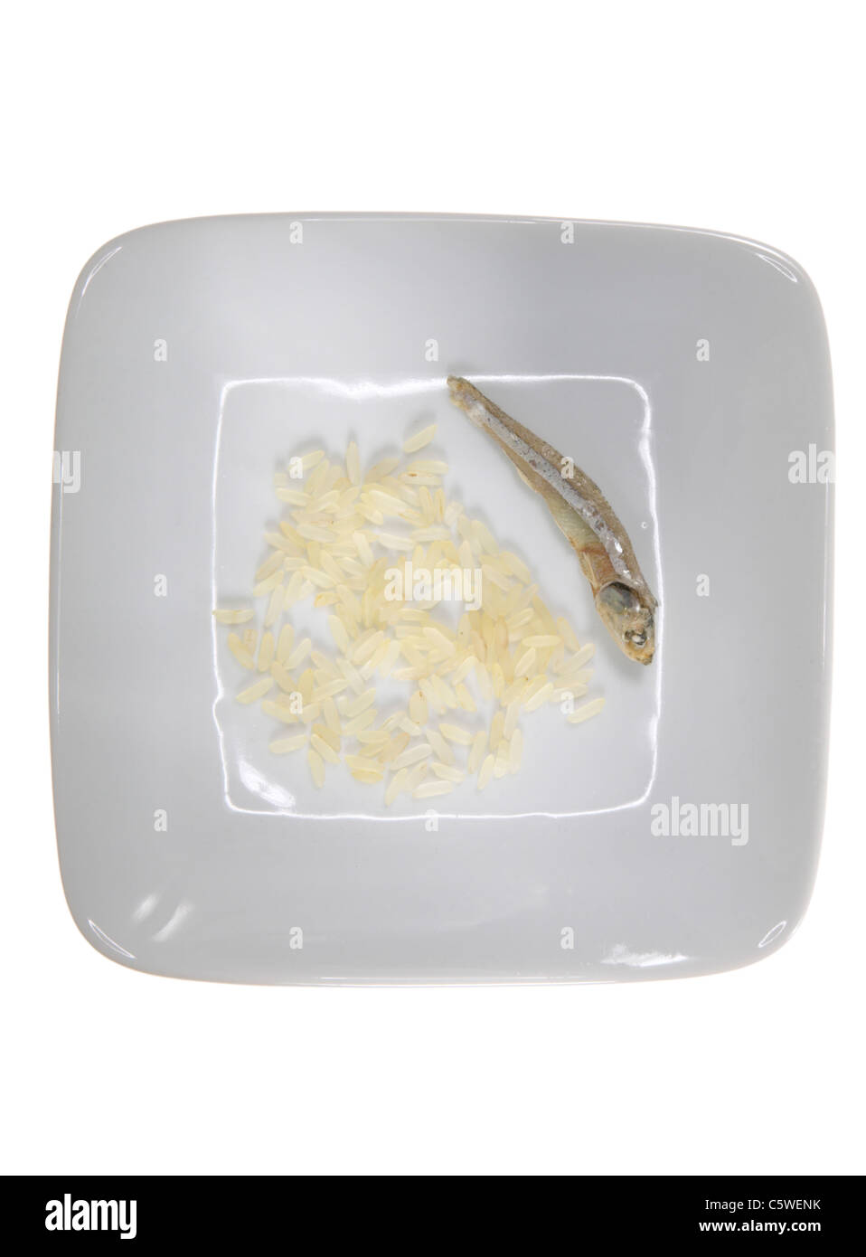 Rice grains and dried anchovy on plate, elevated view Stock Photo Alamy
