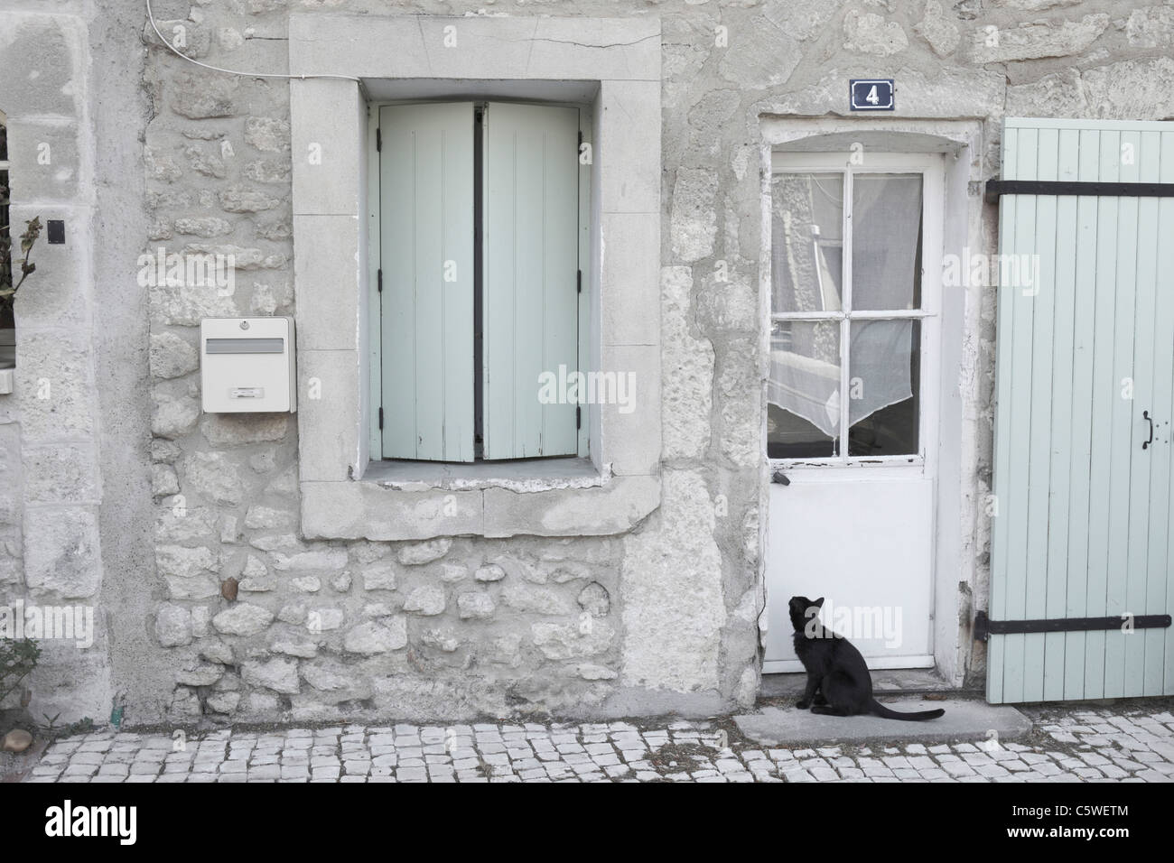 Domestic angry cat sitting in front of entry door. Kitten is