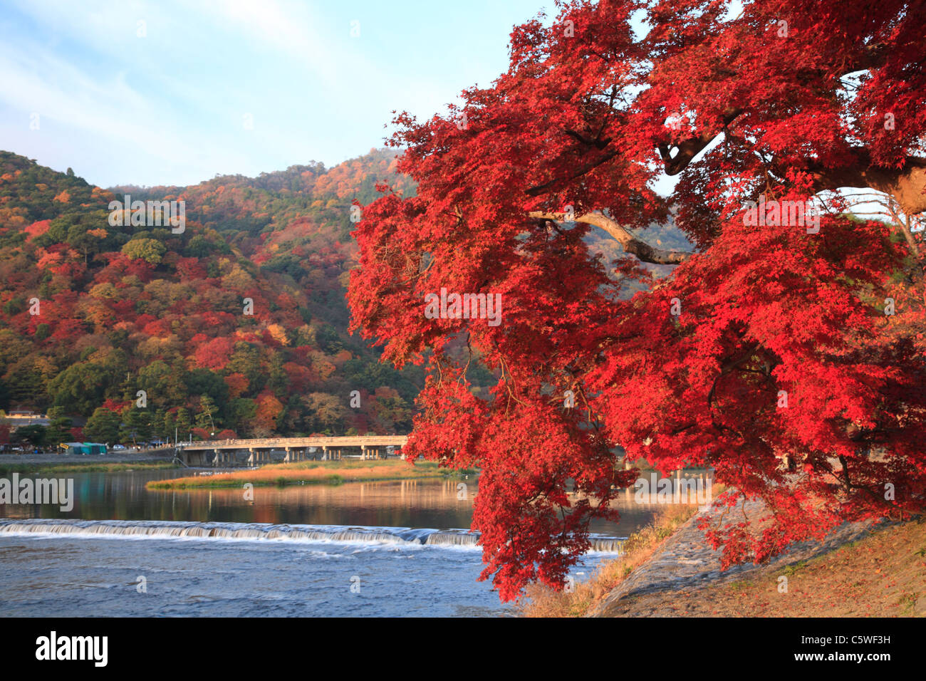 Red Leaves And Togetsu Bridge At Arashiyama Kyoto Kyoto Japan Stock Photo Alamy
