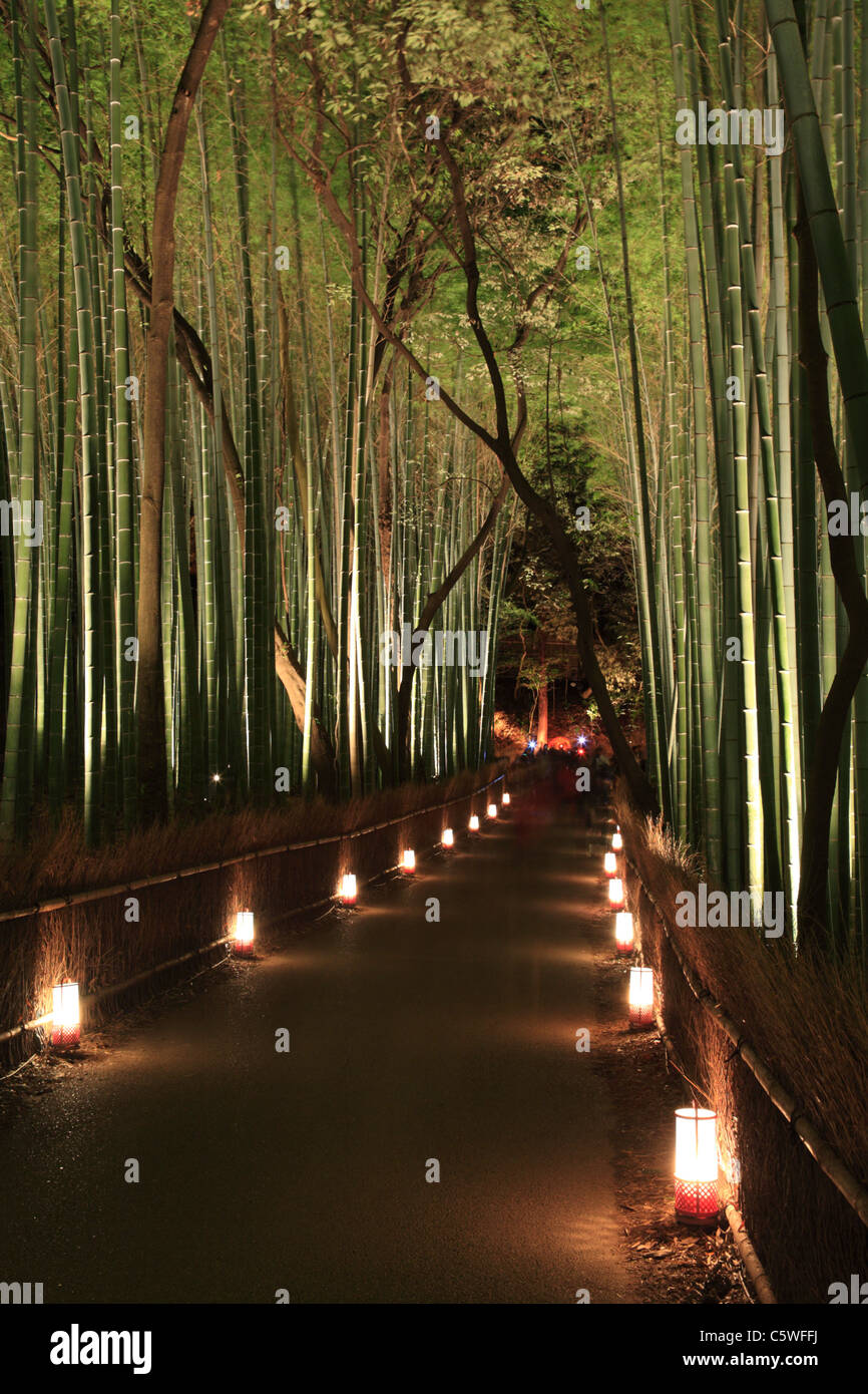 Night View of Bamboo Grove at Sagano, Kyoto, Kyoto, Japan Stock Photo