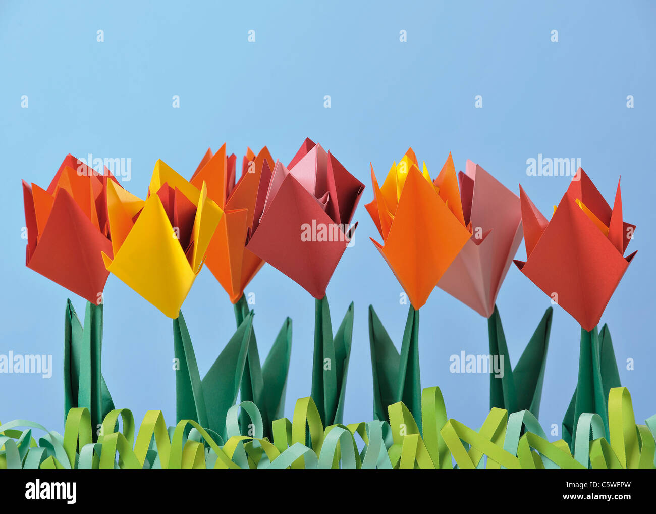 Origami tulips against blue background Stock Photo
