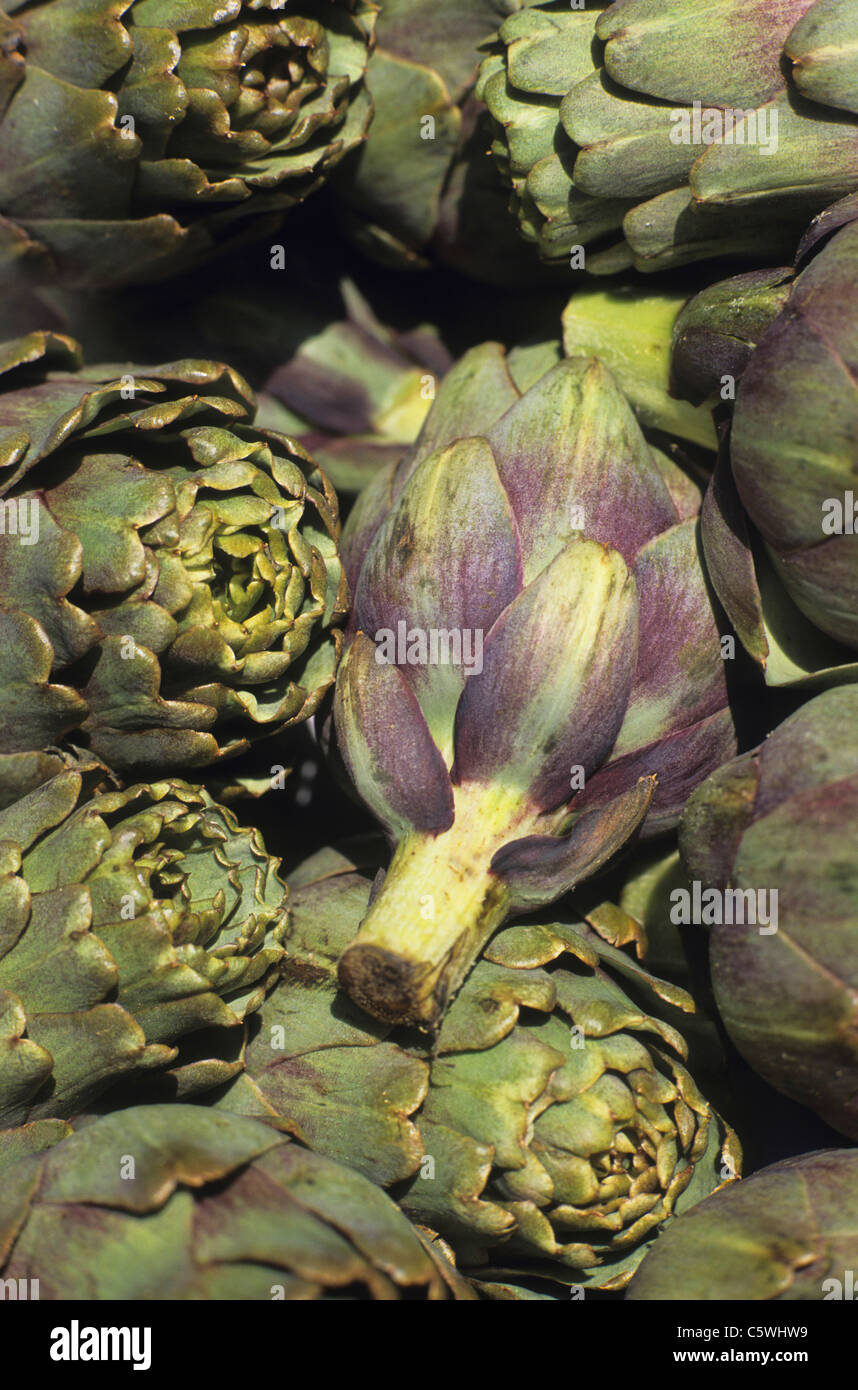 France, Artichokes, close up Stock Photo Alamy