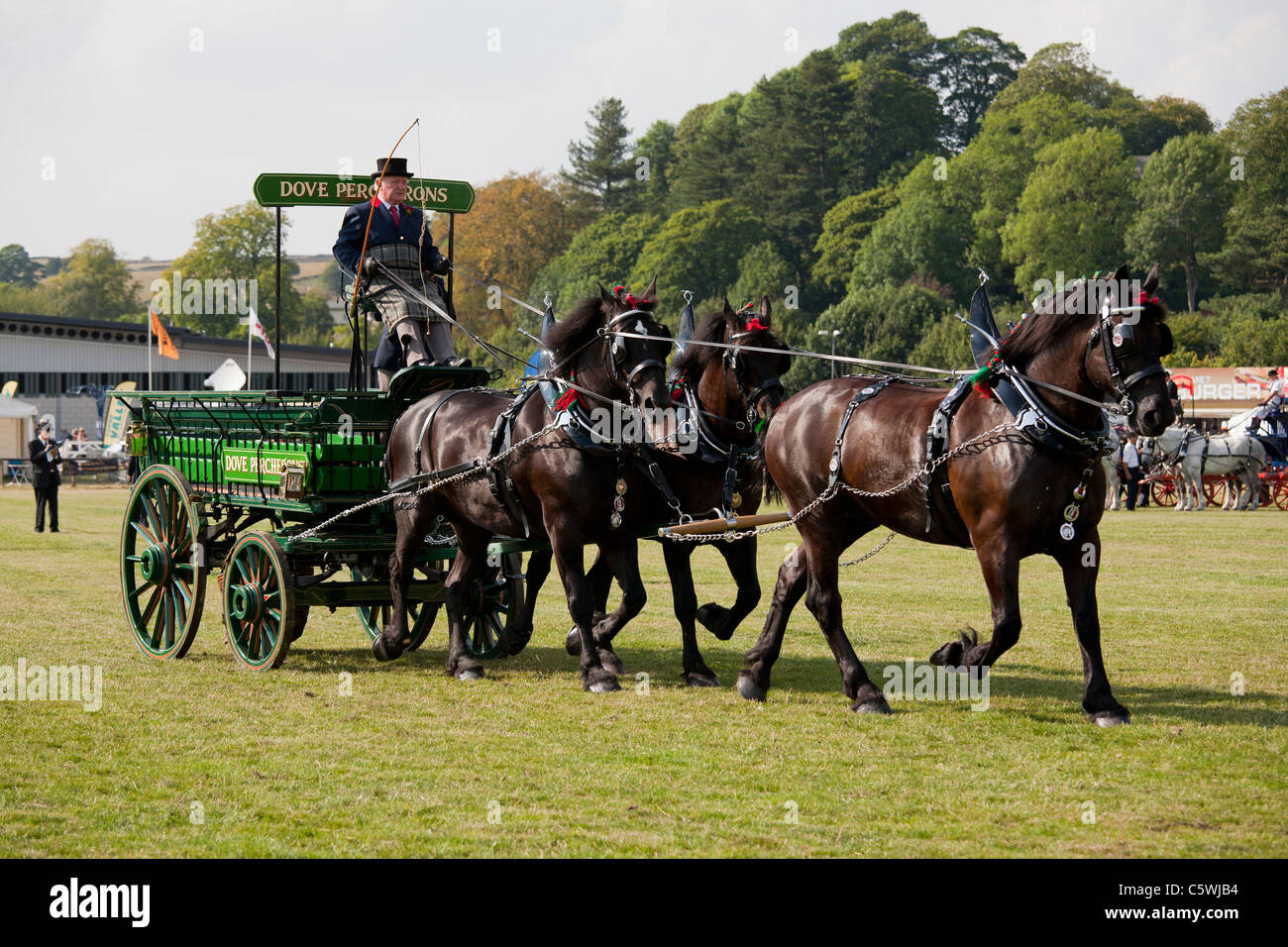 Heavy Horse Turnouts at the Bakewell Show, Bakewell, Derbyshire, England, UK Stock Photo