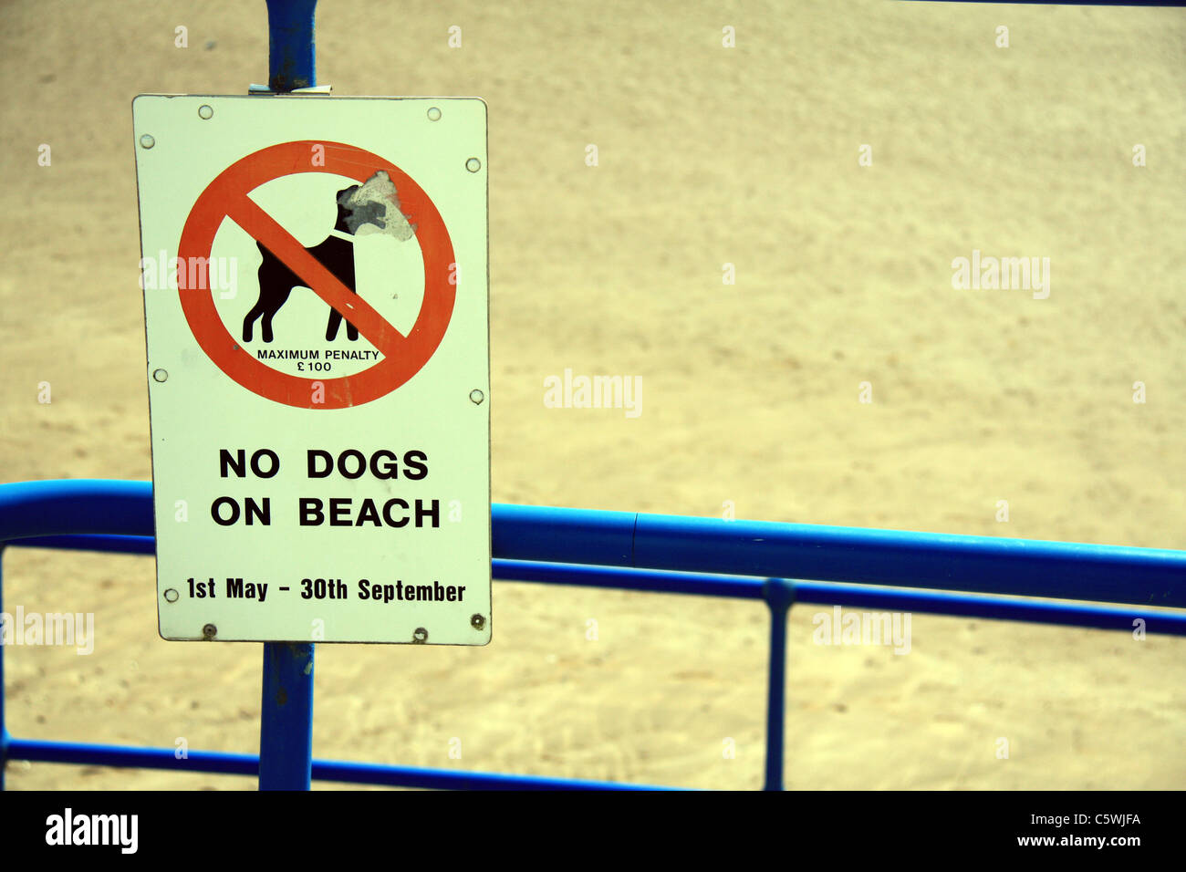 A sign to say no dogs on the beach Stock Photo