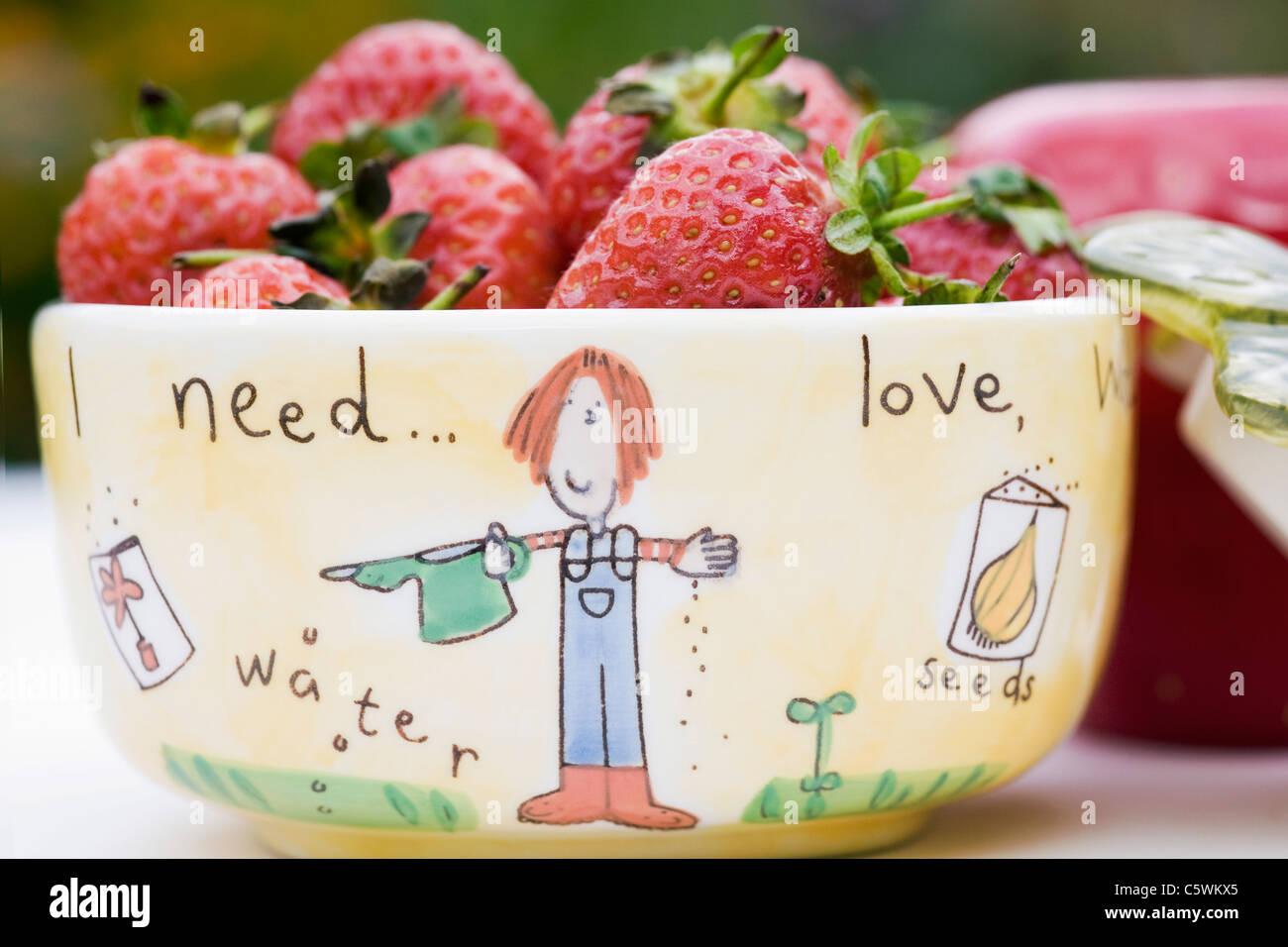 Bowl of freshly picked strawberries. Stock Photo