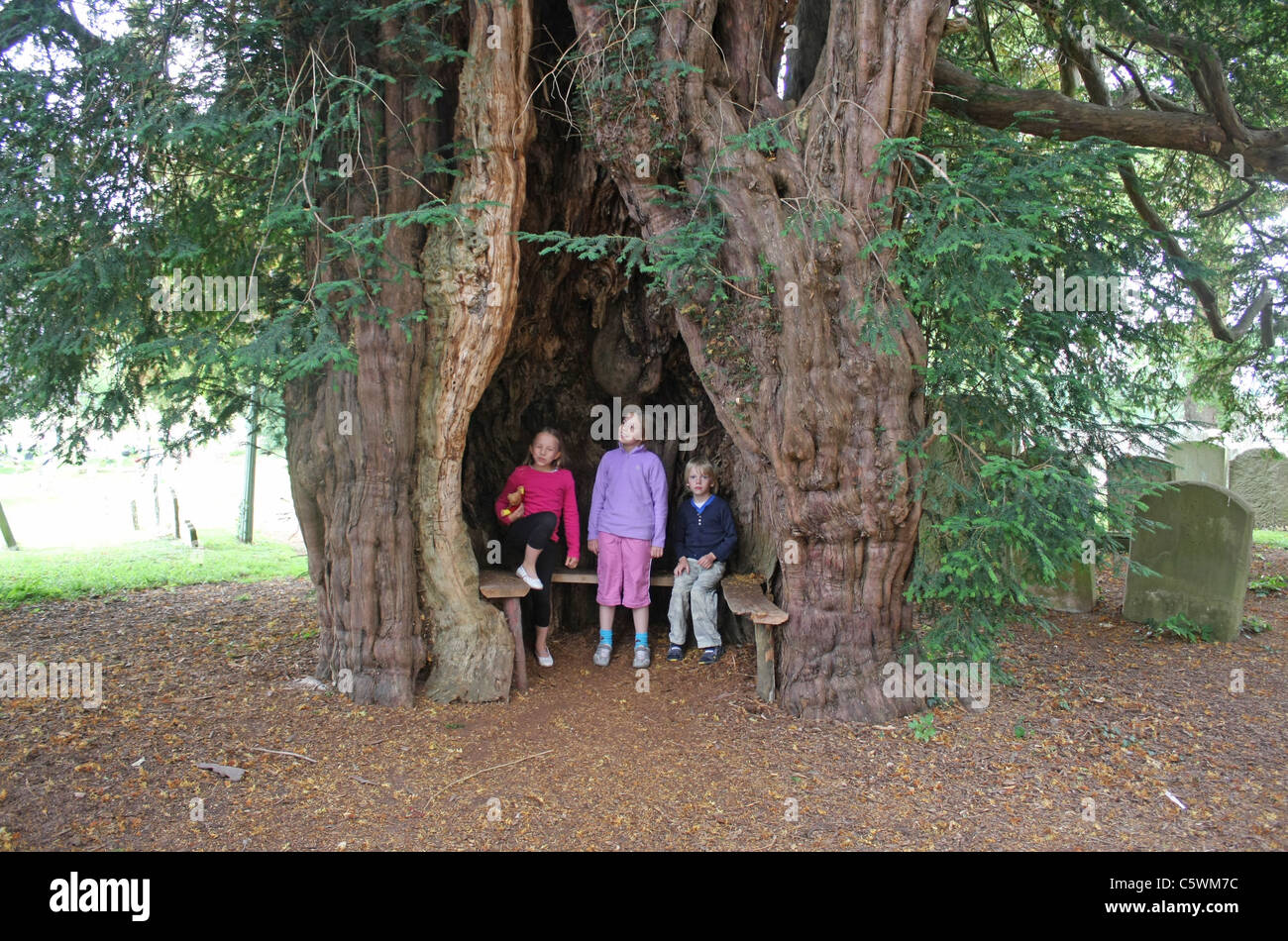 Much marcle hi-res stock photography and images - Alamy