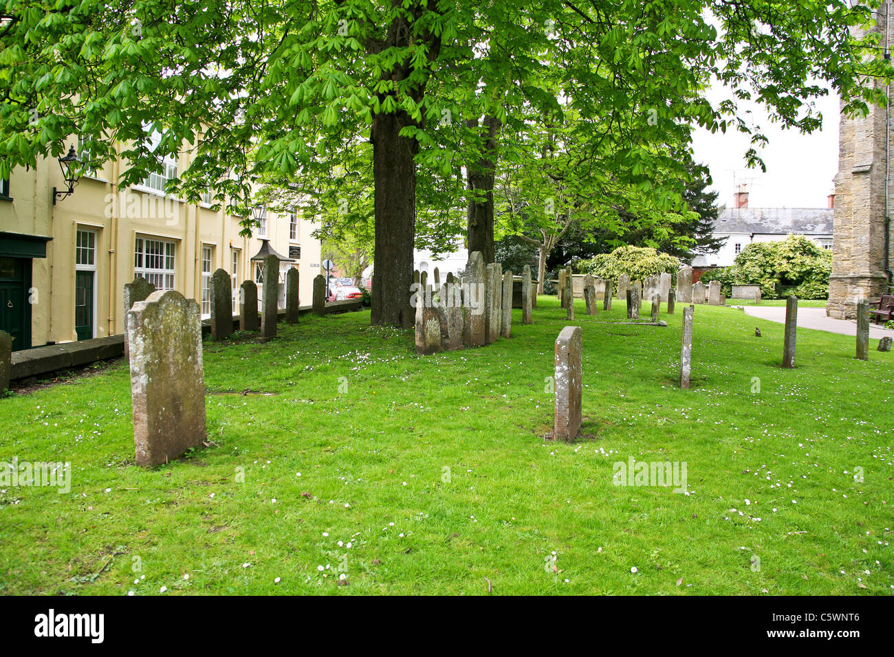 Gravestones in a leafy churchyard in Sidmouth, Devon, England, UK Stock Photo