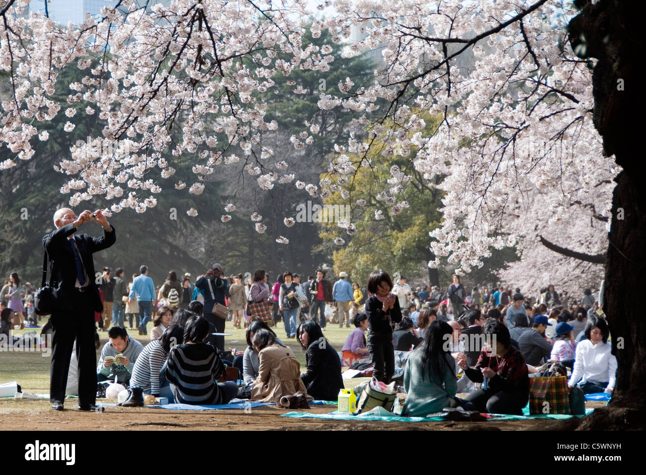 Shinjuku gyoen hanami hi-res stock photography and images - Alamy