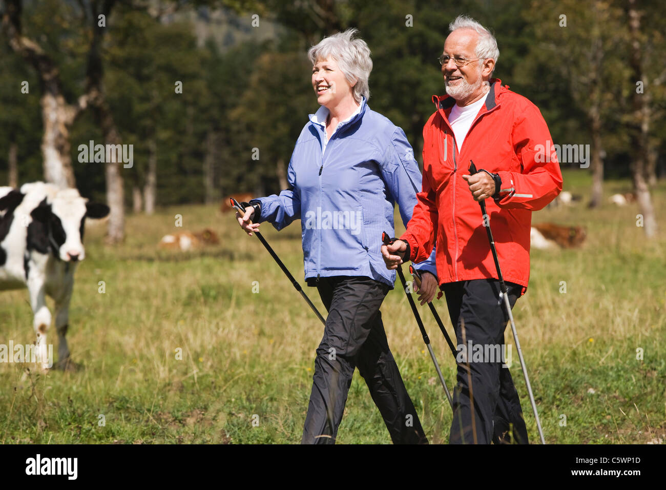 Group of woman nordic walking hi-res stock photography and images - Alamy