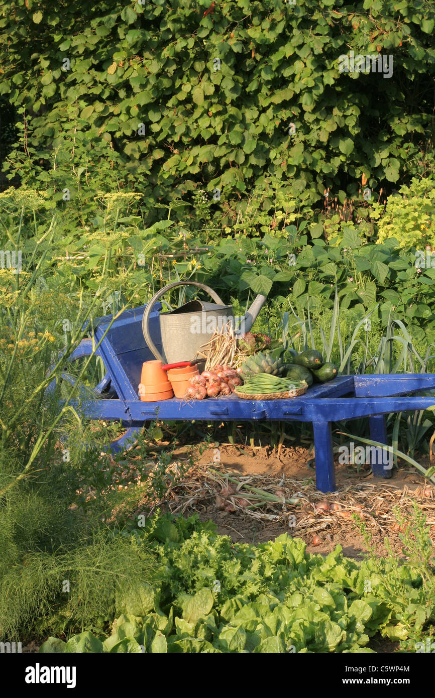 Vegetables from the garden on the wheelbarrow : green beans, shallots, artichoke, squashes, lettuce. Stock Photo
