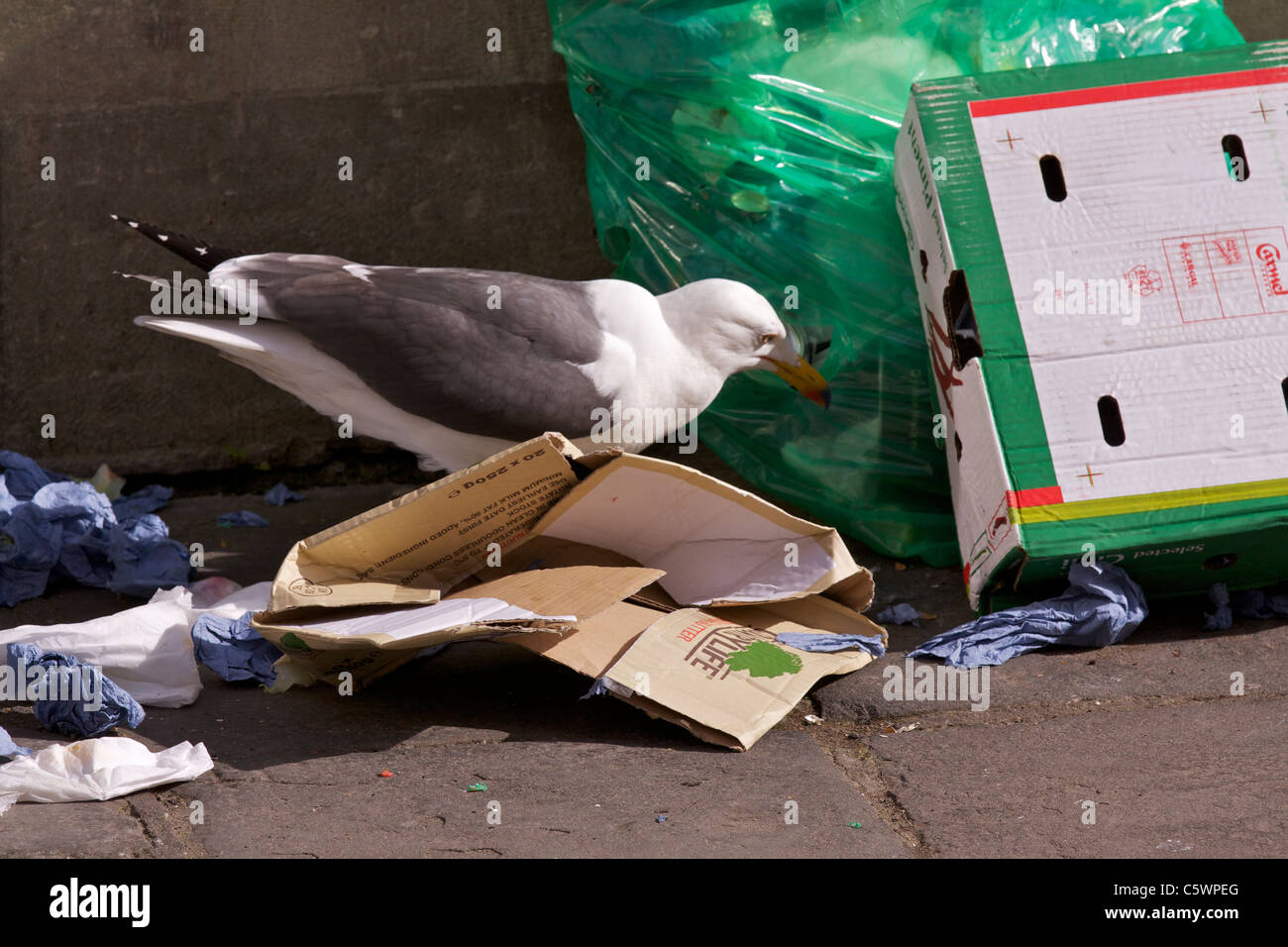 Put the rubbish out hires stock photography and images Alamy